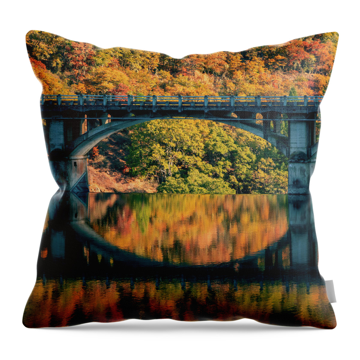 Tpeak Photos Throw Pillow featuring the photograph Pit 3 Autumn by Mike Lee