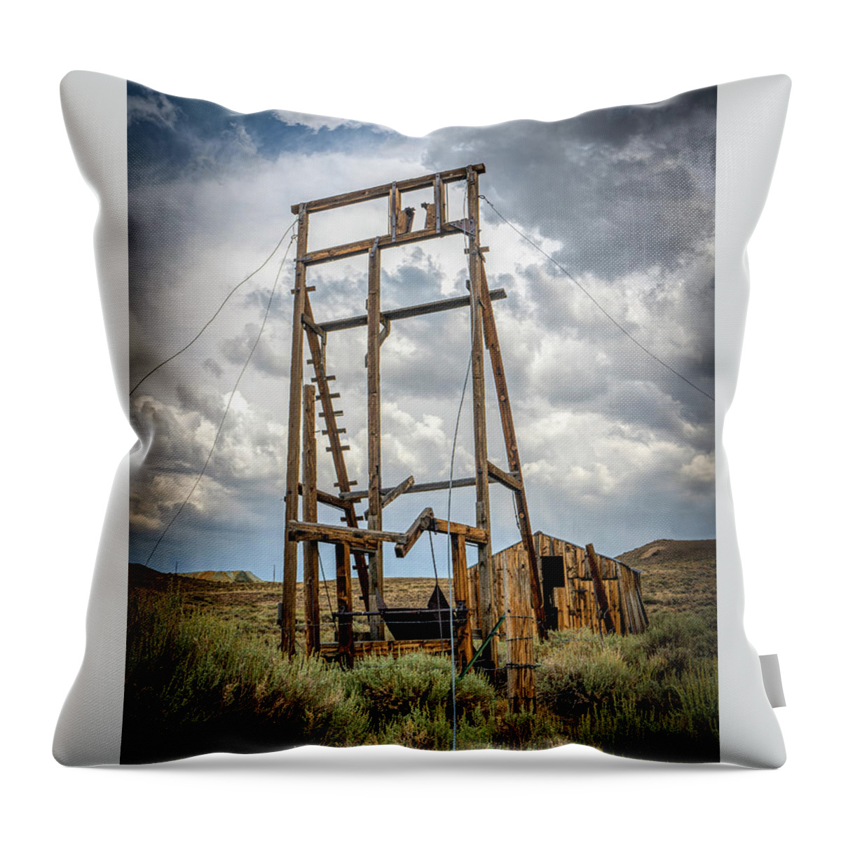Bodie Throw Pillow featuring the photograph Played Out Vertical by Ron Long Ltd Photography