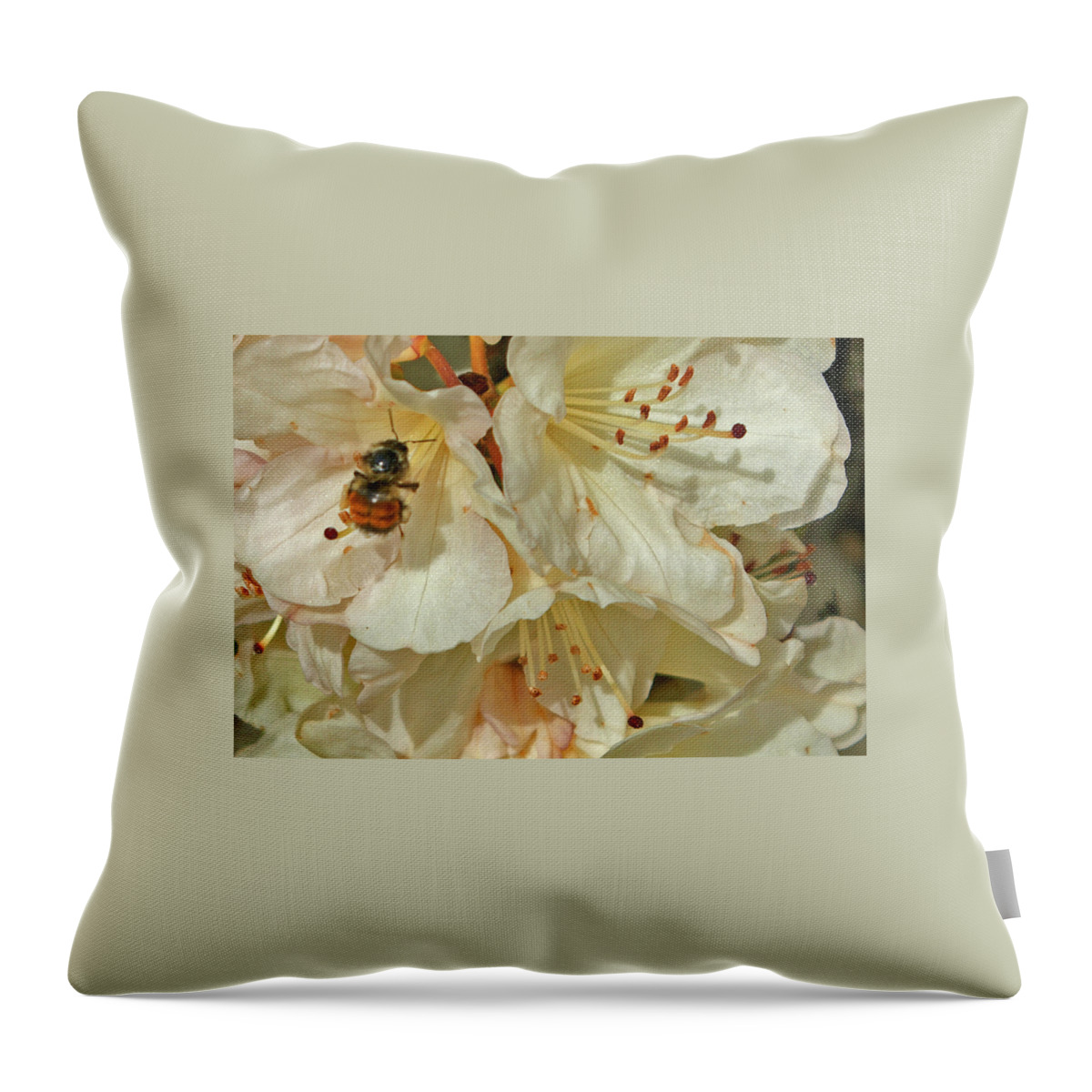 Nature Throw Pillow featuring the photograph Plum Bee by Segura Shaw Photography