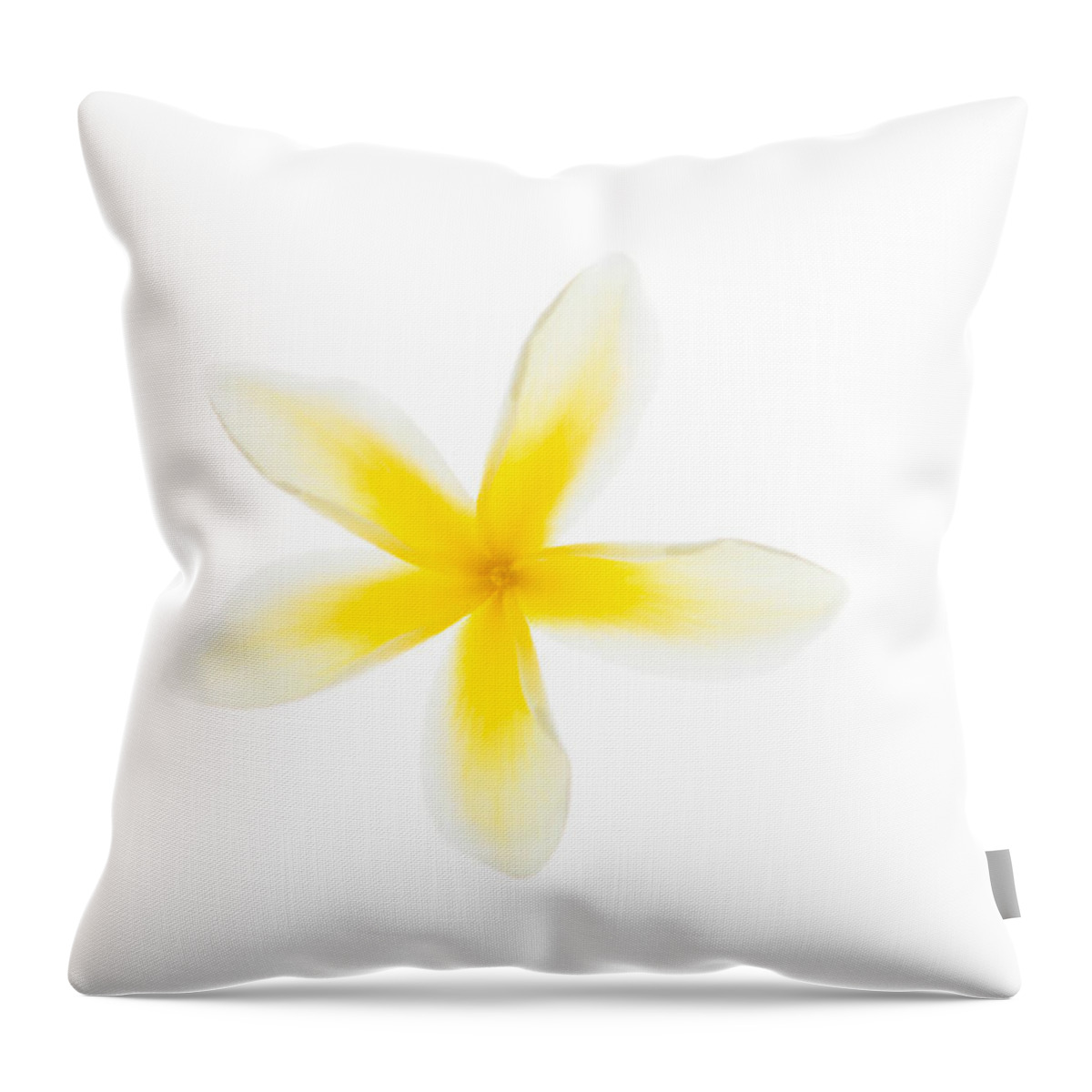 Photograph Throw Pillow featuring the photograph Plumeria in Bloom 7 by John A Rodriguez