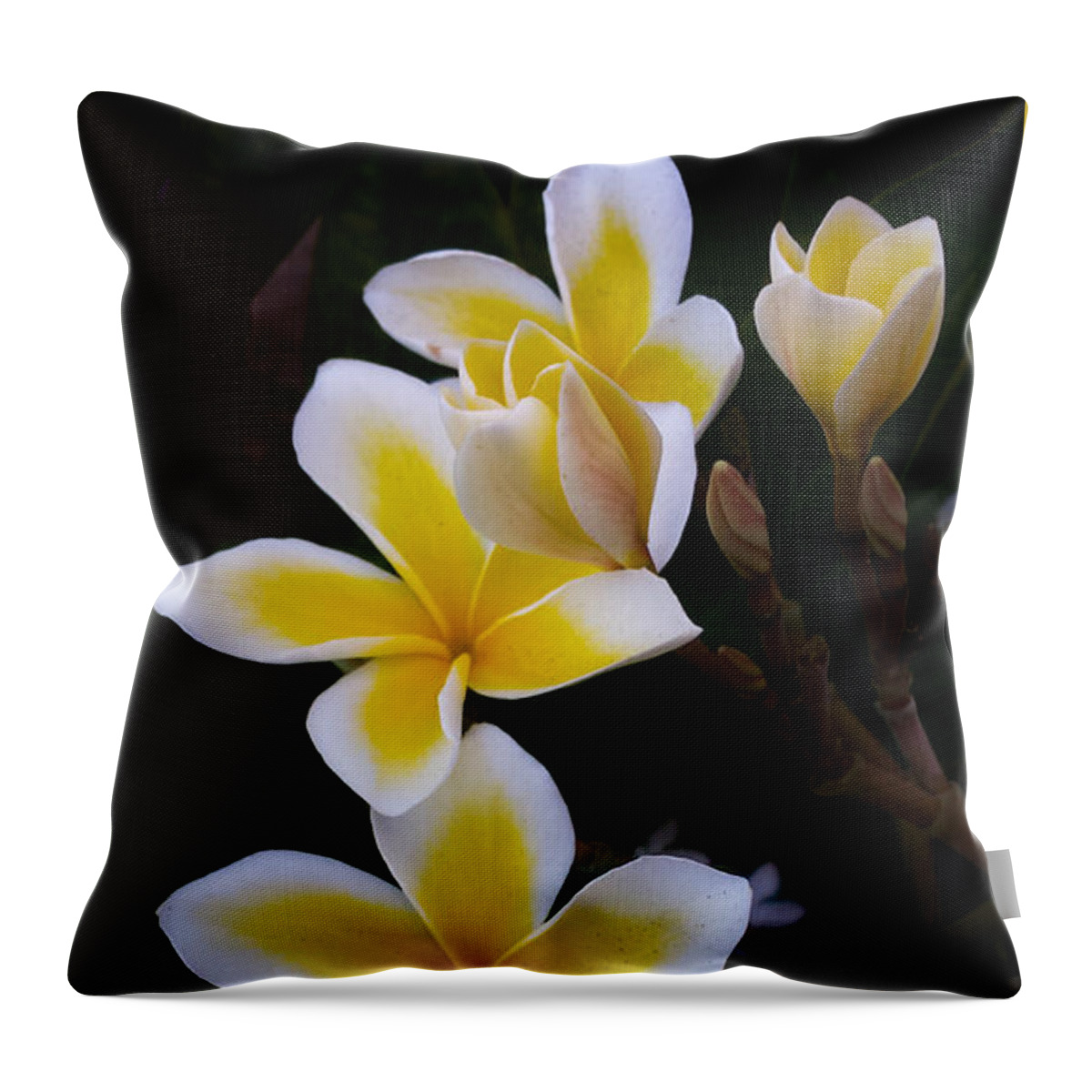 Plumeria Throw Pillow featuring the photograph Plumeria in Bloom by Bonny Puckett