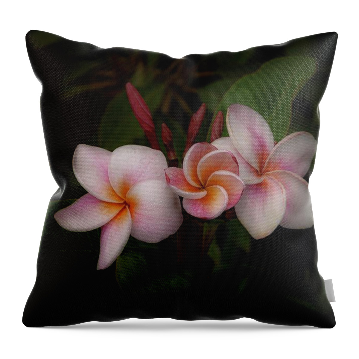 Photographs Throw Pillow featuring the photograph Plumerias In Bloom by John A Rodriguez