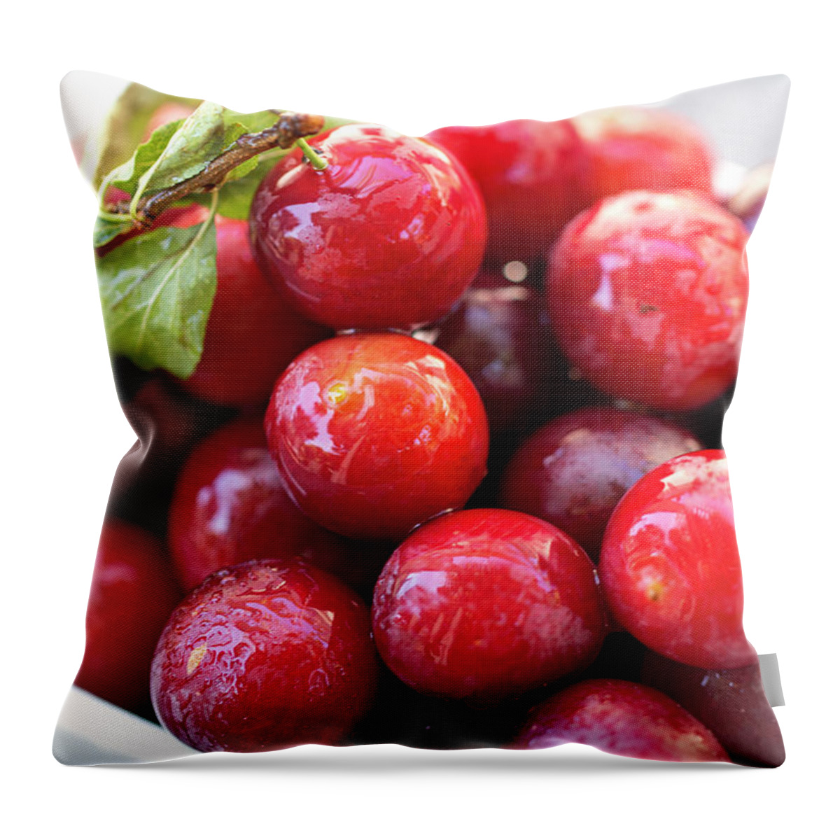 Fruit Throw Pillow featuring the photograph Plums A Lot by Vanessa Thomas