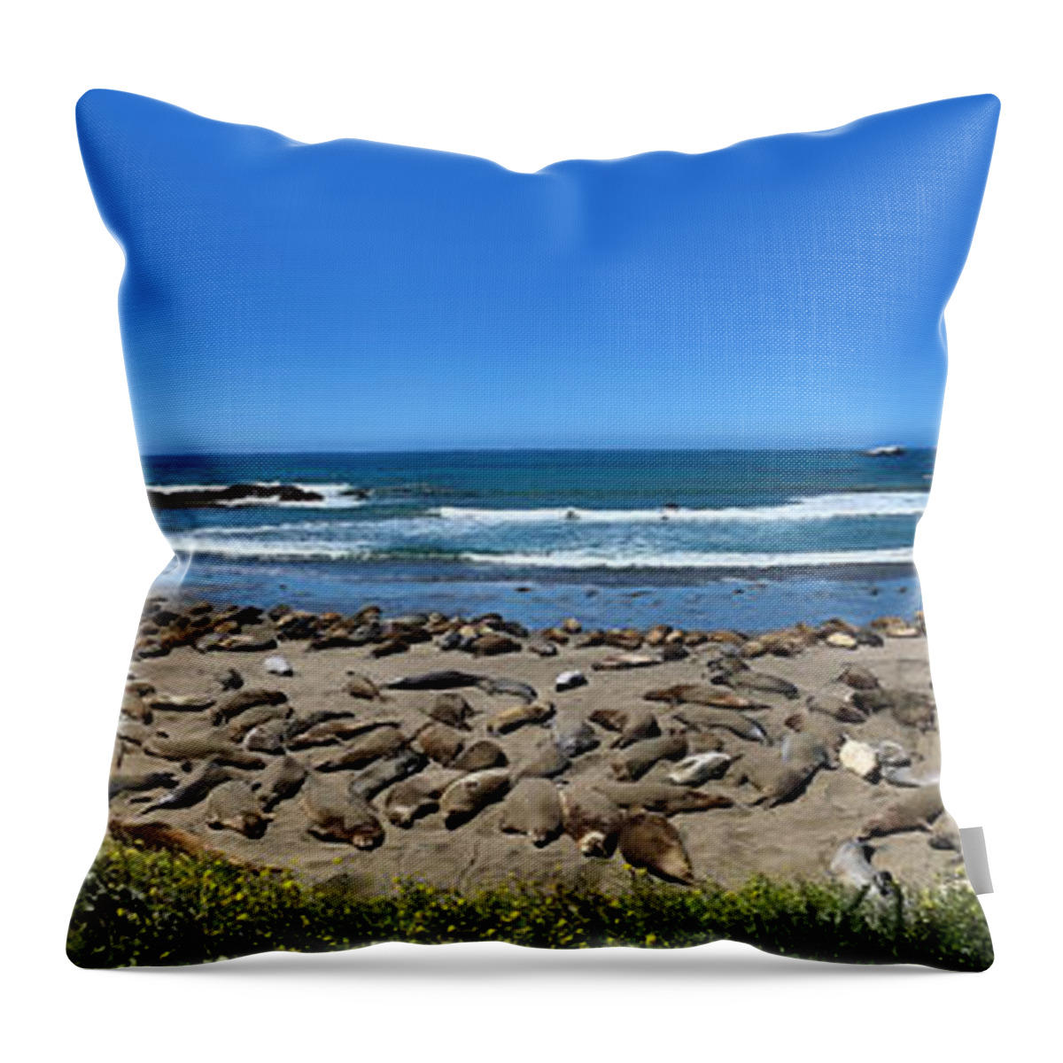 Seals Throw Pillow featuring the photograph Point Ragged Elephant Seals - Paintography by Anthony Jones