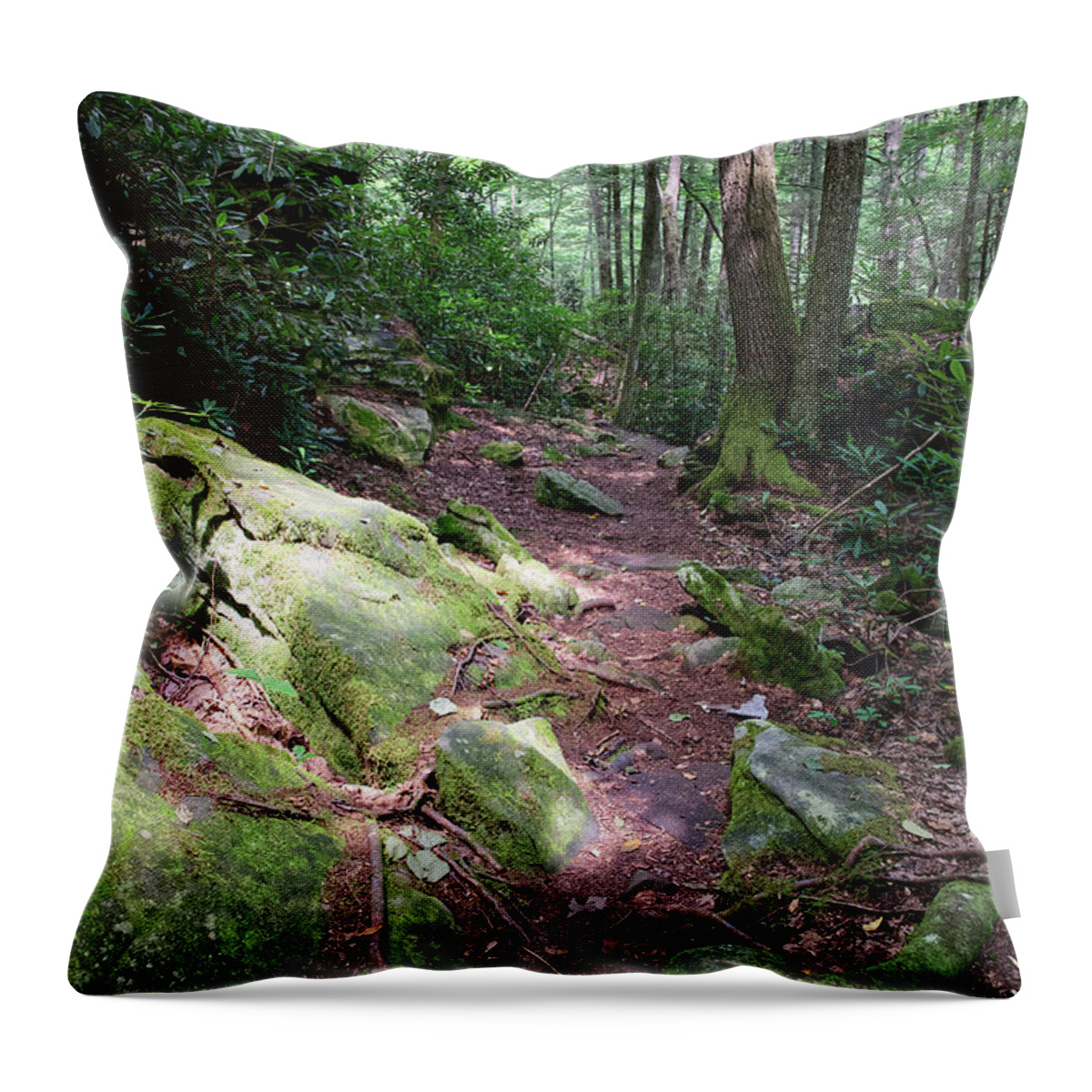 Obed Throw Pillow featuring the photograph Point Trail At Obed 16 by Phil Perkins