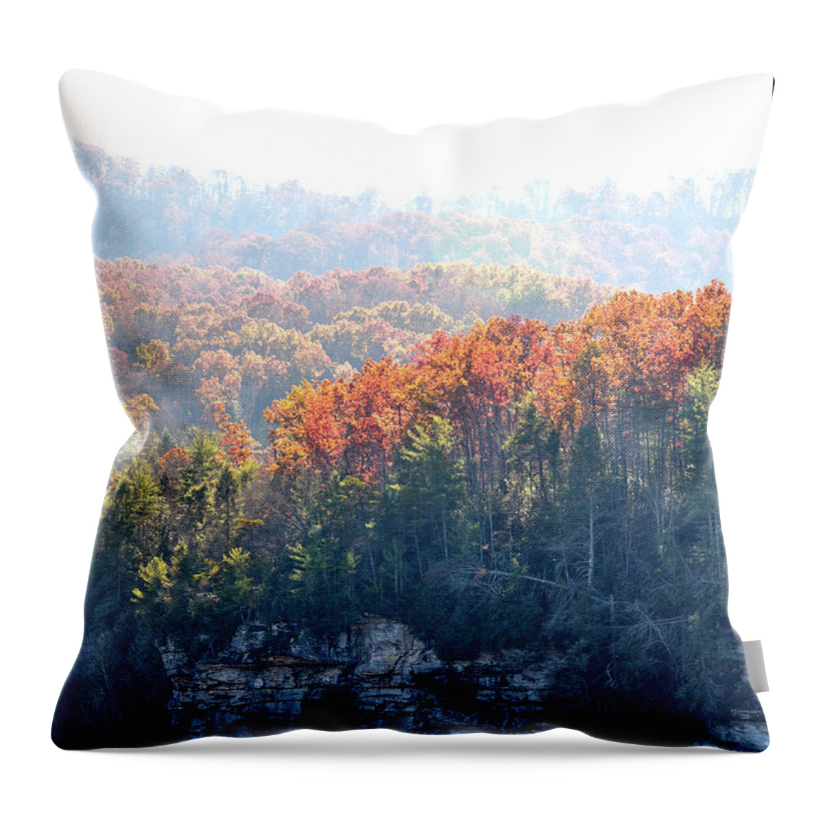 Nature Throw Pillow featuring the photograph Point Trail At Obed 5 by Phil Perkins