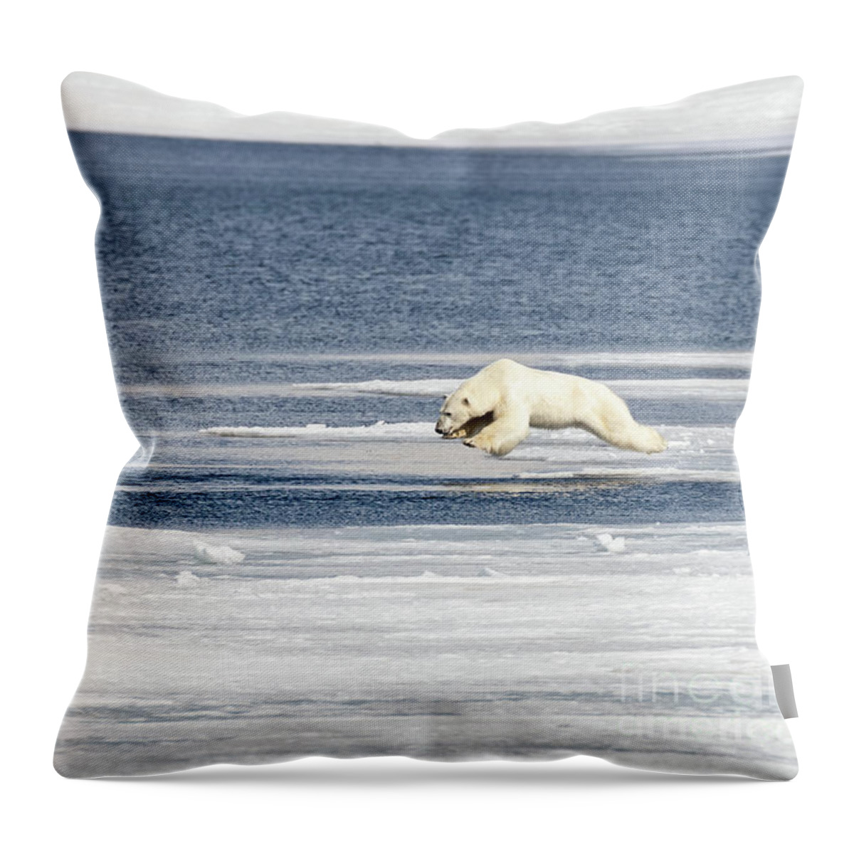 Polar Throw Pillow featuring the photograph Polar bear in mid air as he jumps from the ice into the Arctic ocean by Jane Rix