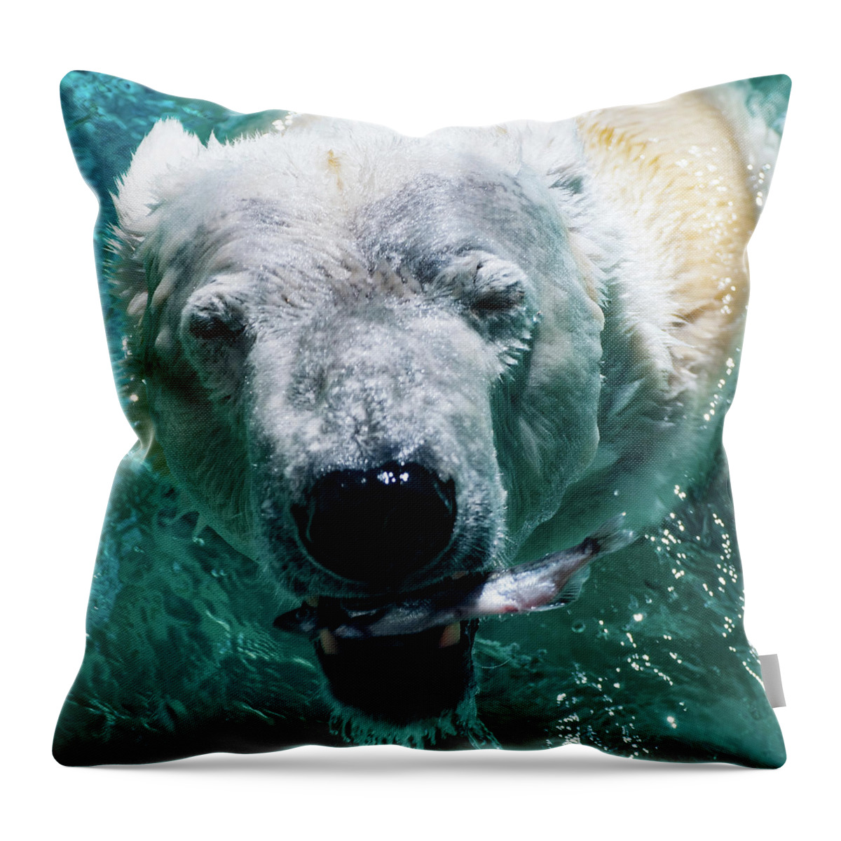Polar Bear Portrait Throw Pillow featuring the photograph Polar Bear Portrait 001 by Flees Photos