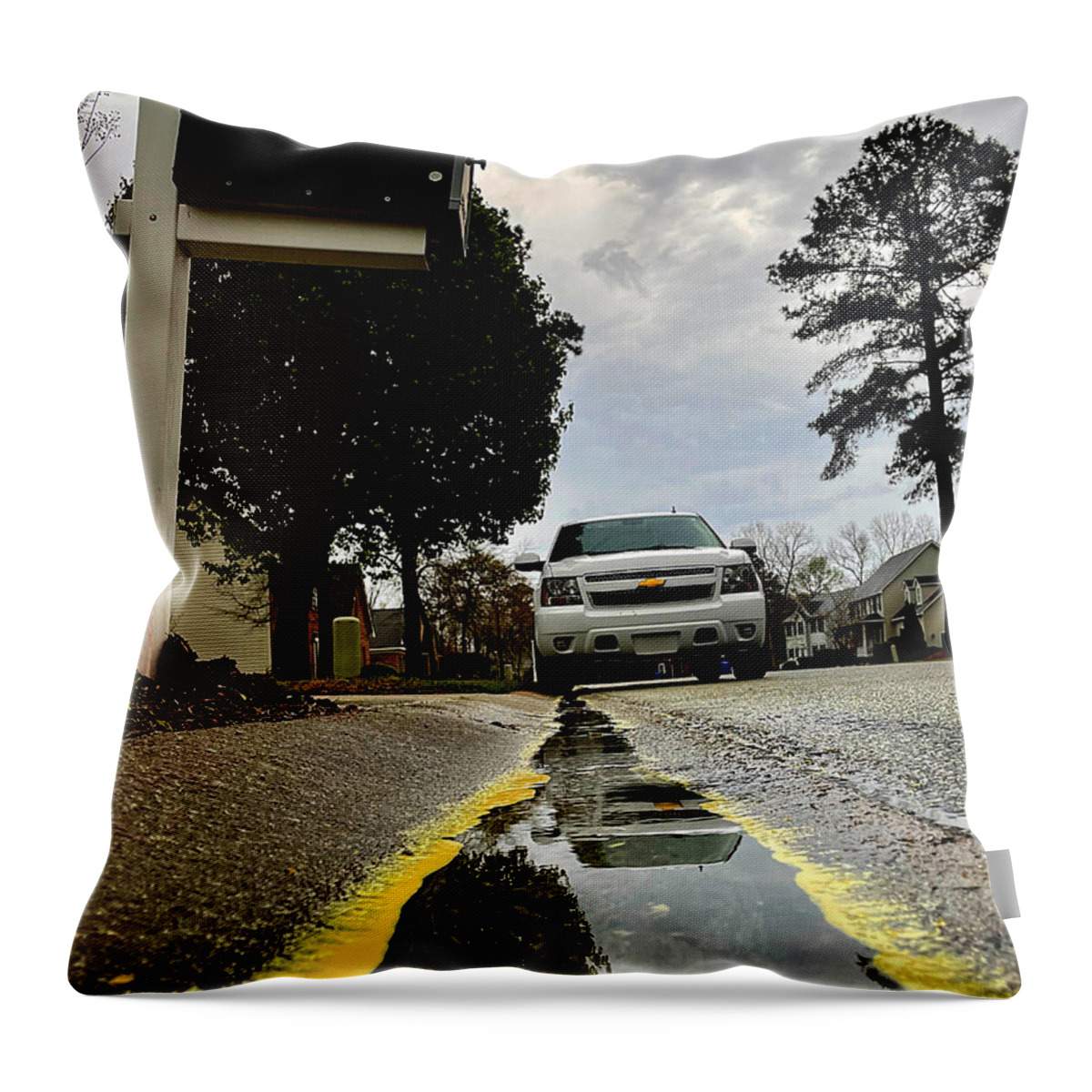 Pollen Throw Pillow featuring the photograph Pollen River After The Shower by Lee Darnell