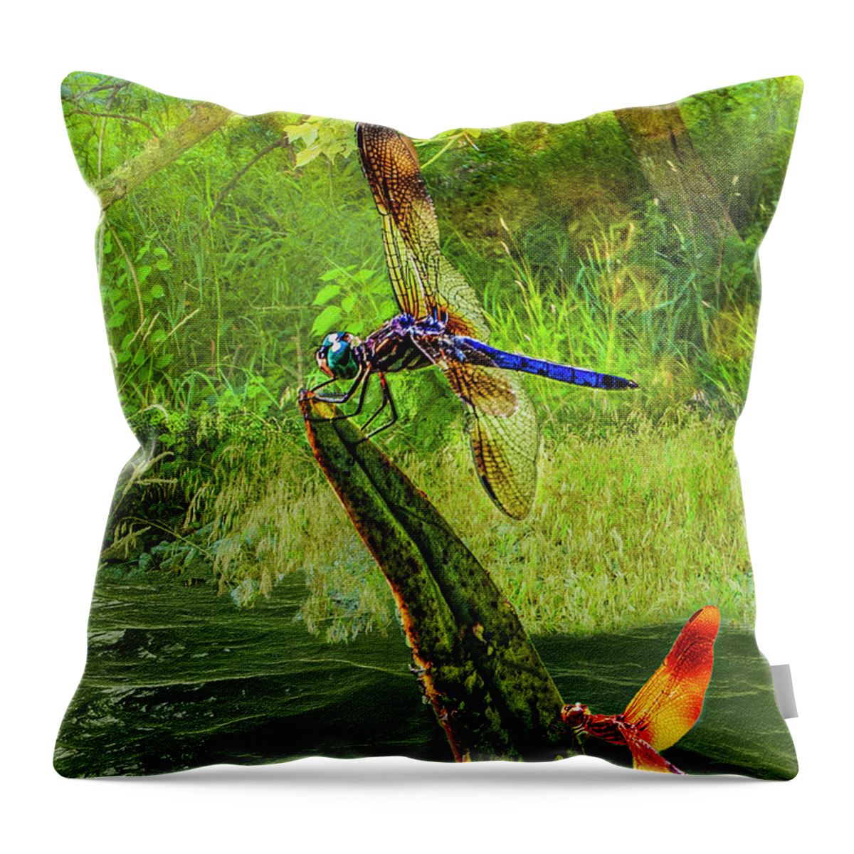 Digital Throw Pillow featuring the digital art Pond Dragon Fly by Anthony Ellis