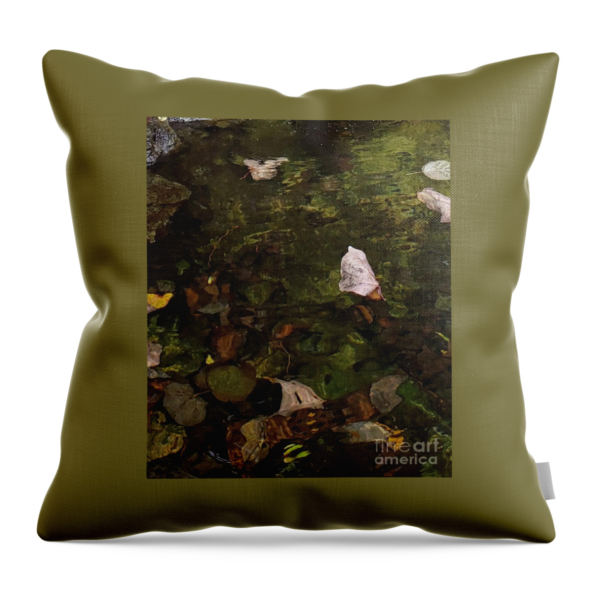 Pond Throw Pillow featuring the photograph Pond in Autumn by Anita Adams