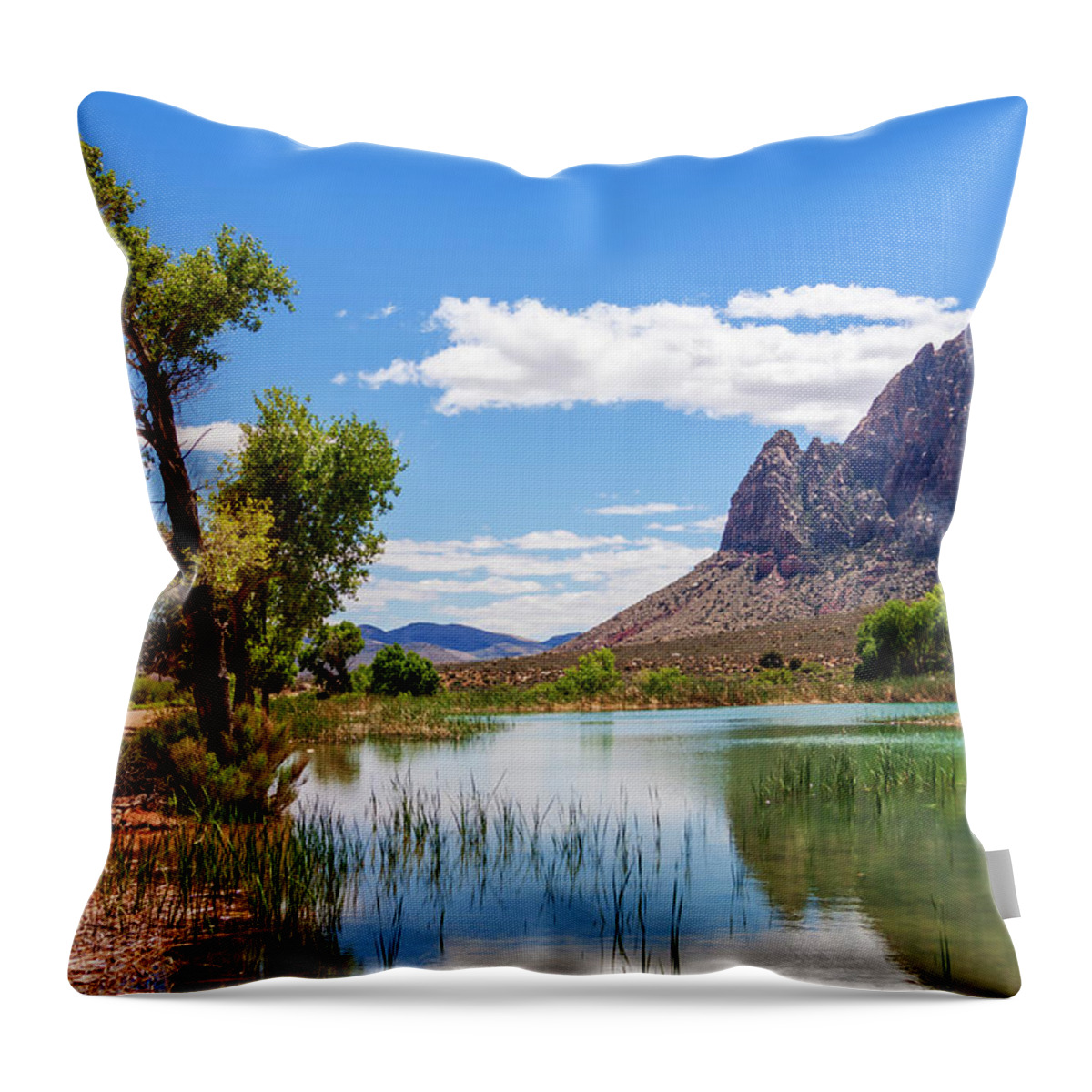 Pond Reflections Throw Pillow featuring the photograph Pond reflections in Mohave Desert, Nevada by Tatiana Travelways
