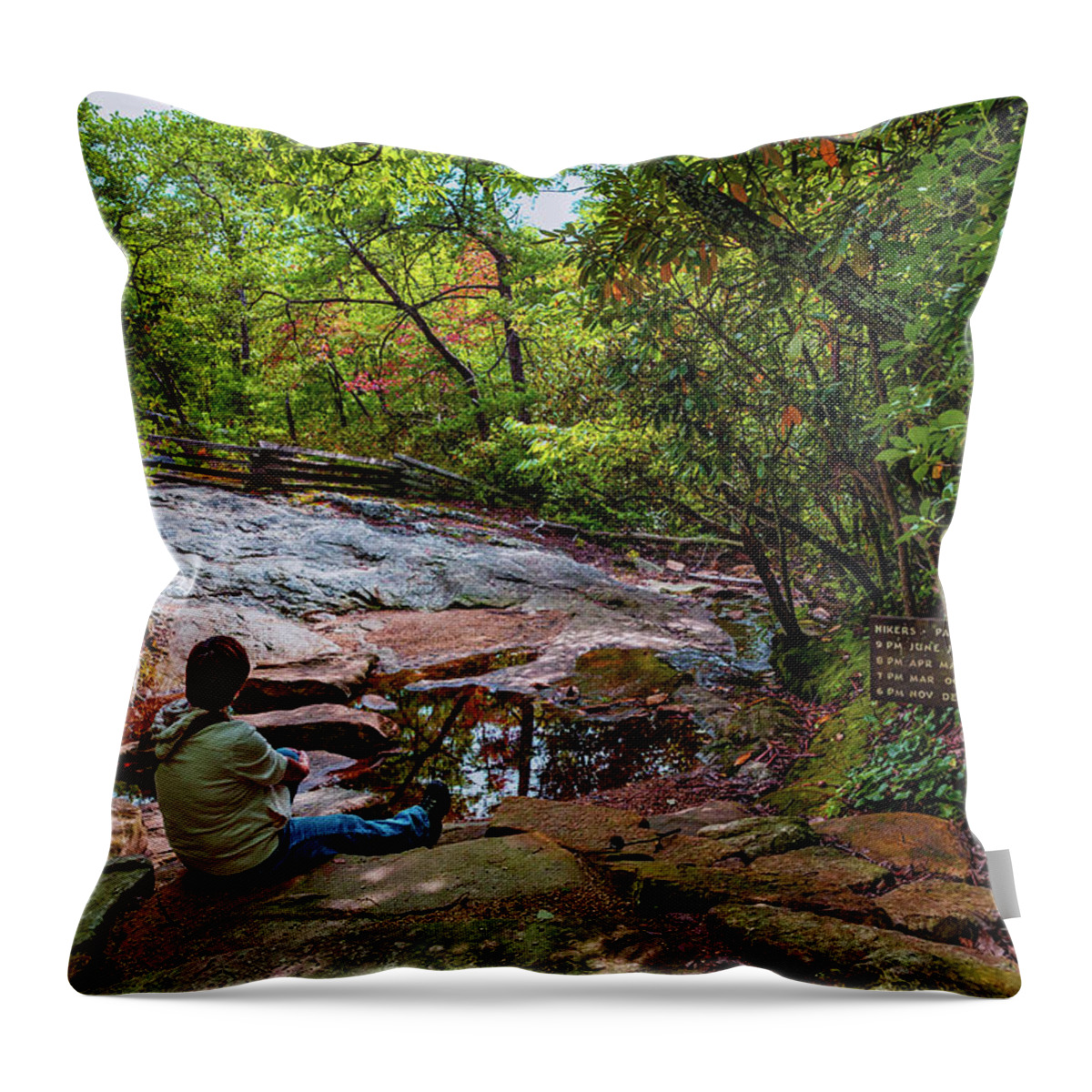 North Carolina Throw Pillow featuring the photograph Pondering the Day by Dan Carmichael