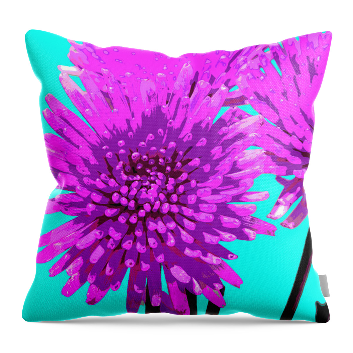 Popart Throw Pillow featuring the photograph PopART Anastacia Chrysanthemum-Magenta-Turquoise by Renee Spade Photography