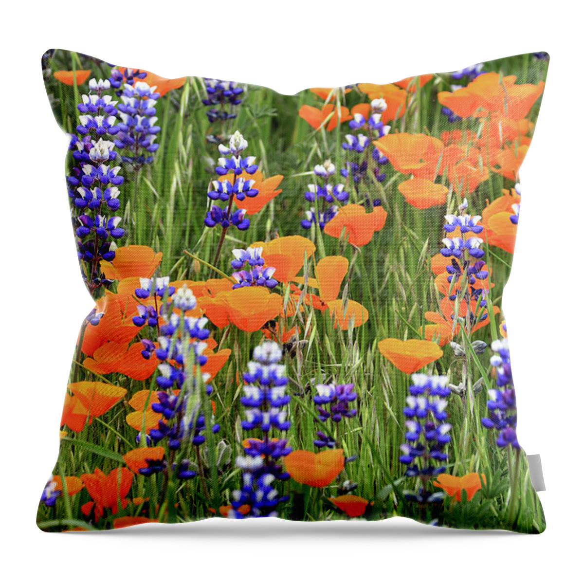 Poppy Throw Pillow featuring the photograph Poppies and Lupines by Vivian Krug Cotton