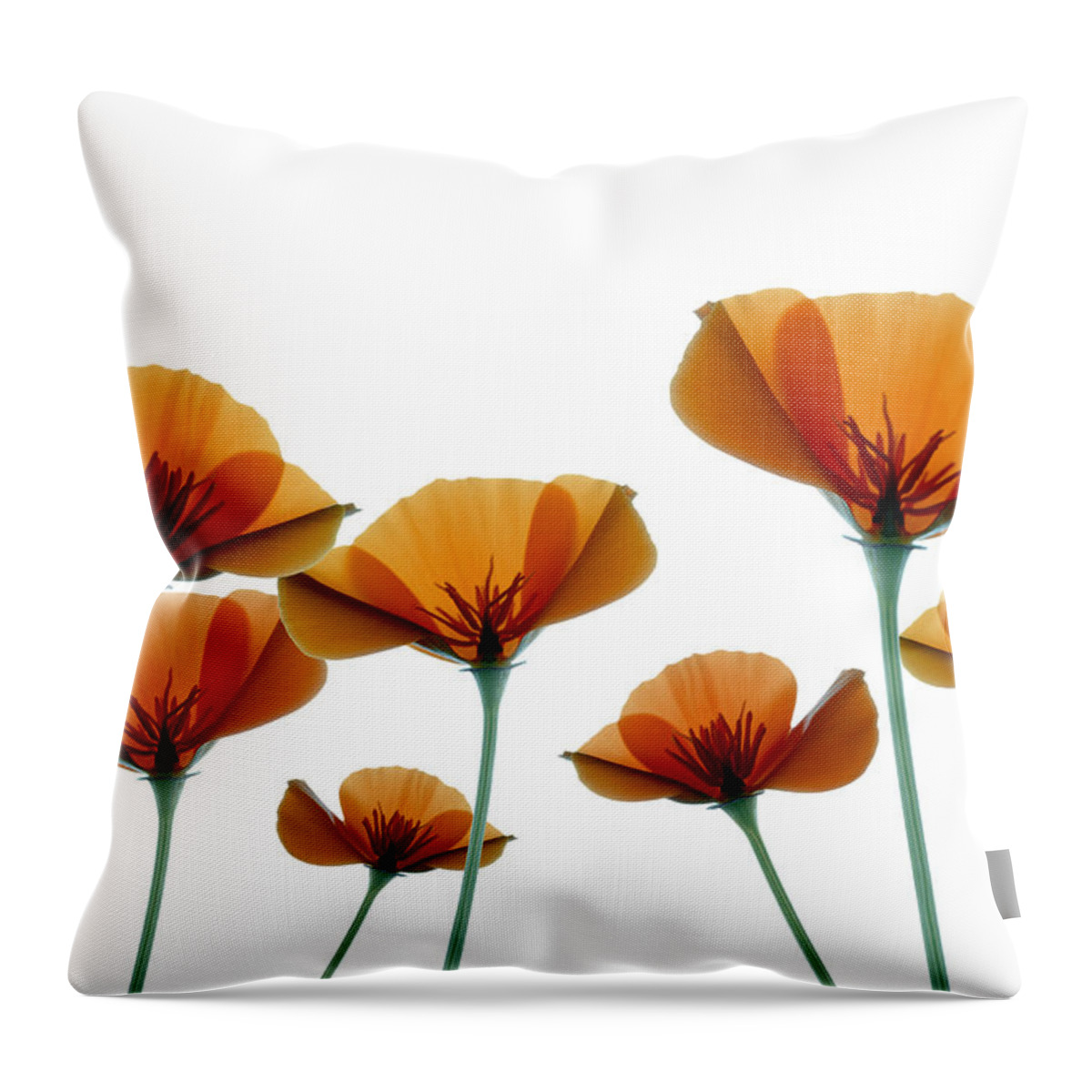 California Poppies Throw Pillow featuring the photograph Poppies by Marsha Tudor