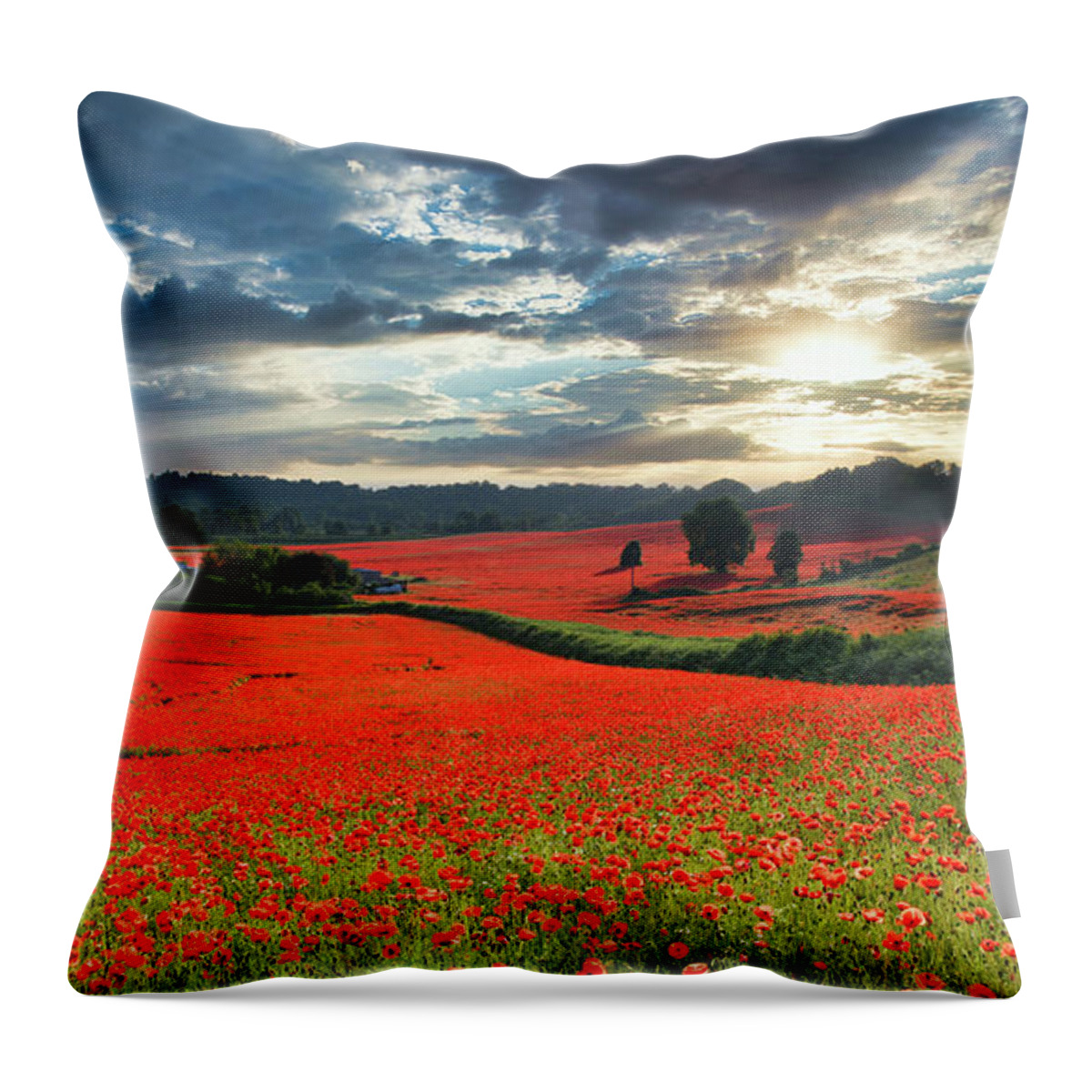 England Throw Pillow featuring the digital art Poppy field 1 by Remigiusz MARCZAK