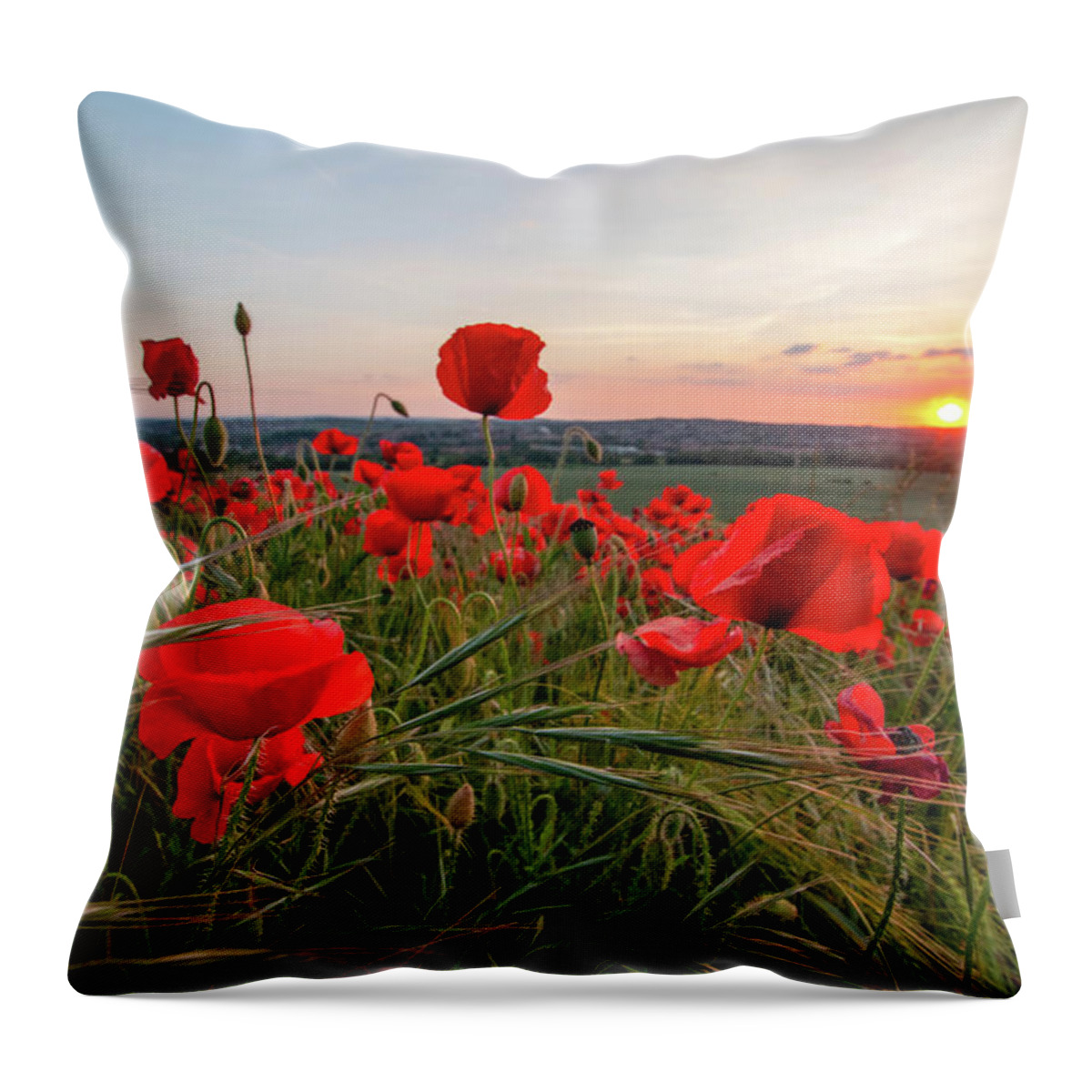 Poppies Throw Pillow featuring the photograph Poppy Field Sunset by Airpower Art