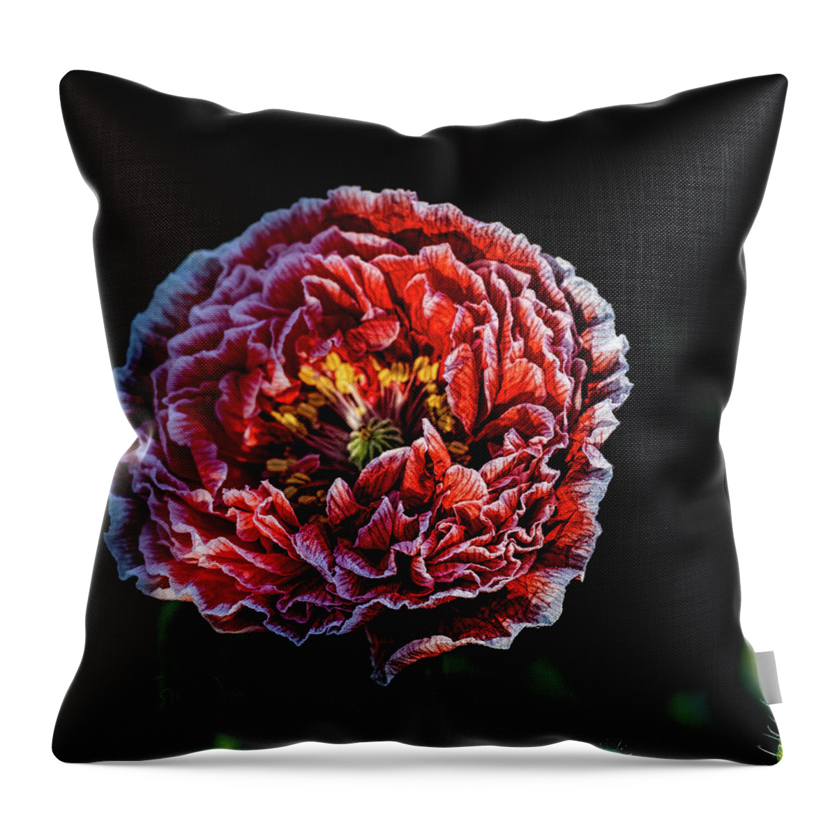Alaska Throw Pillow featuring the photograph Poppy by Fred Denner