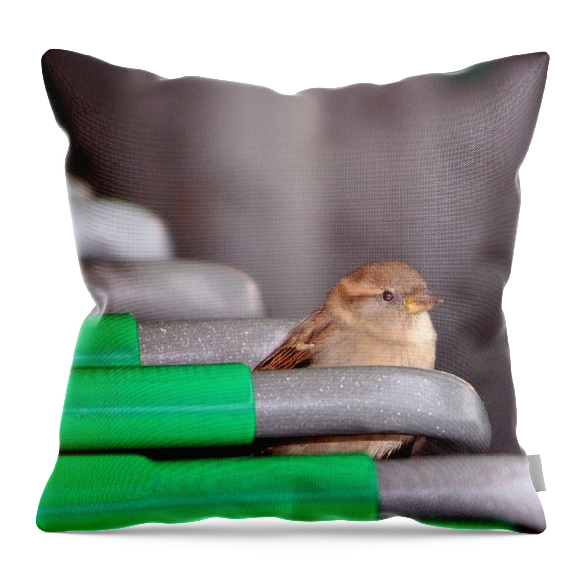 Birds Throw Pillow featuring the photograph Popup Shopper by Kimberly Furey