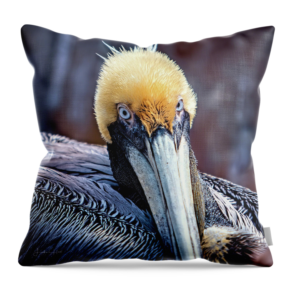 Pelican Throw Pillow featuring the digital art Portrait of a Pelican by Linda Lee Hall