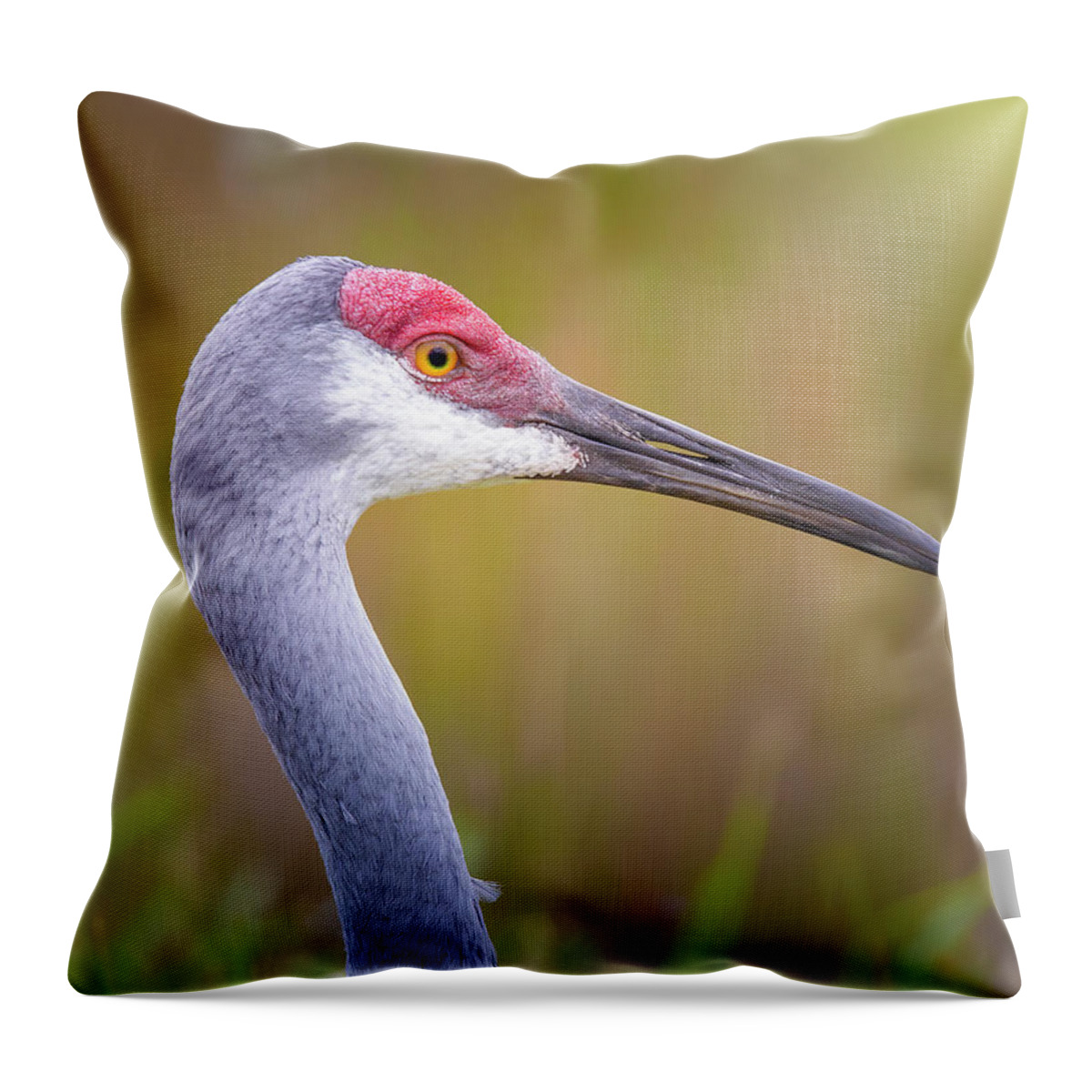 Sandhill Crane Throw Pillow featuring the photograph Portrait of a Sandhill Crane by Mark Andrew Thomas