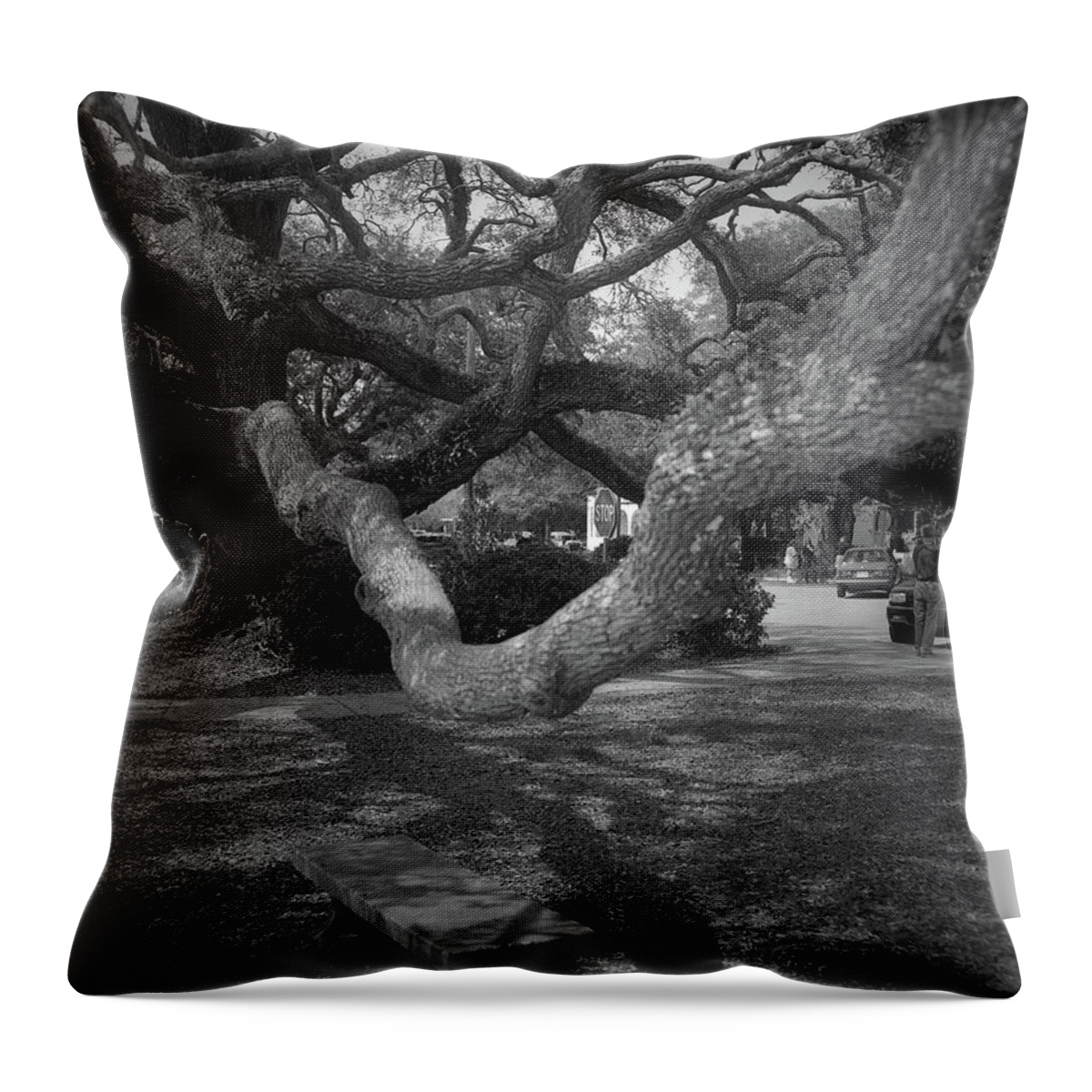 Benches Throw Pillow featuring the photograph Postell Park Bench, St. Simons Island, 2004 by John Simmons