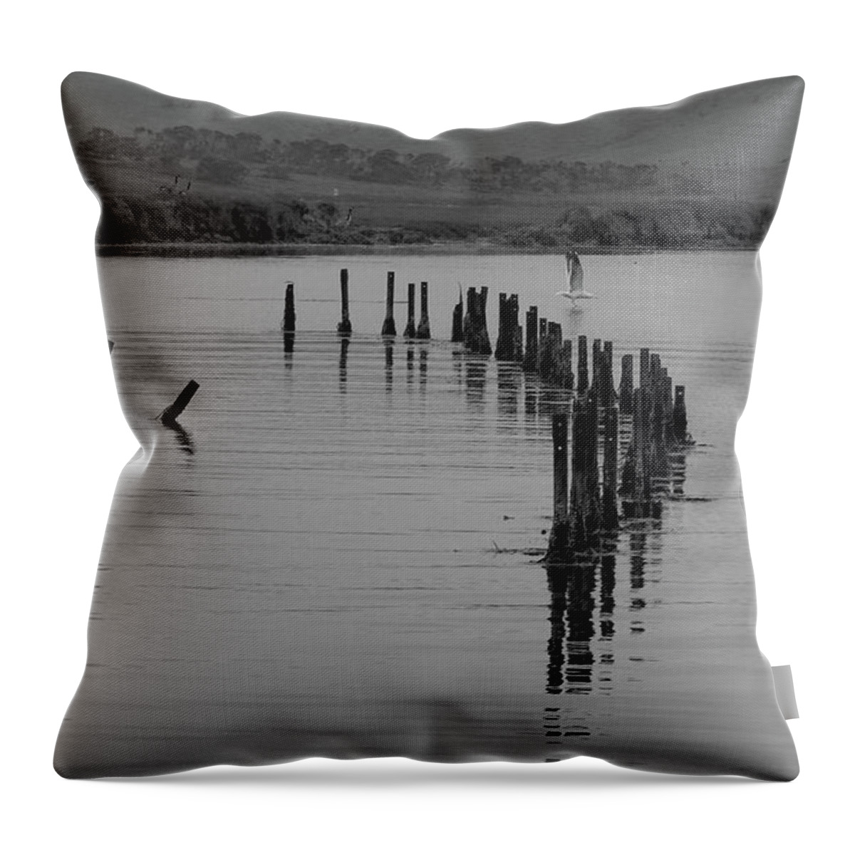 Water Throw Pillow featuring the photograph Posts in the Water in a Circular Pattern by James C Richardson