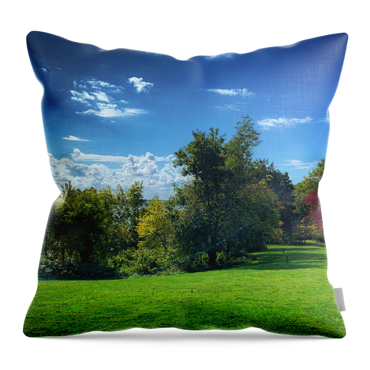 Potomac River Throw Pillow featuring the photograph Potomac in the Distance by Lora J Wilson