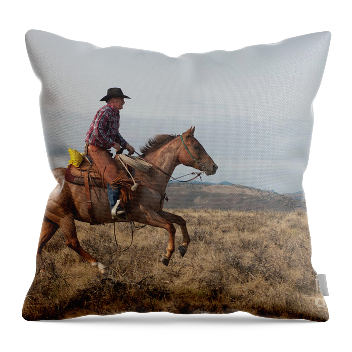 Horse Throw Pillow featuring the photograph Powderhorn Cowboy 2 by Jody Miller