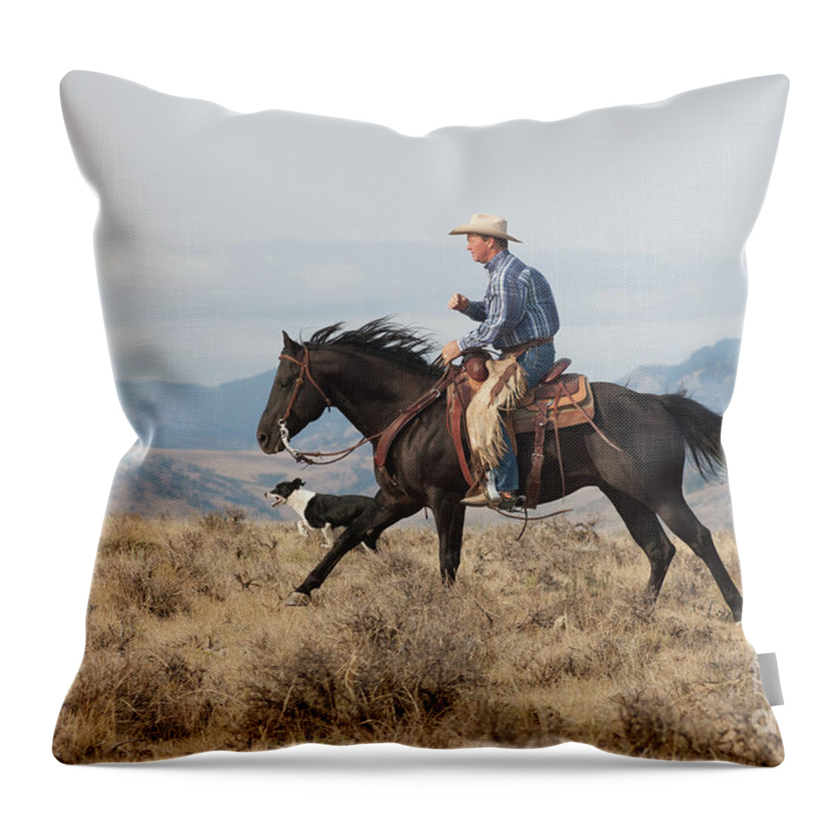 Horse Throw Pillow featuring the photograph Powderhorn Cowboy by Jody Miller