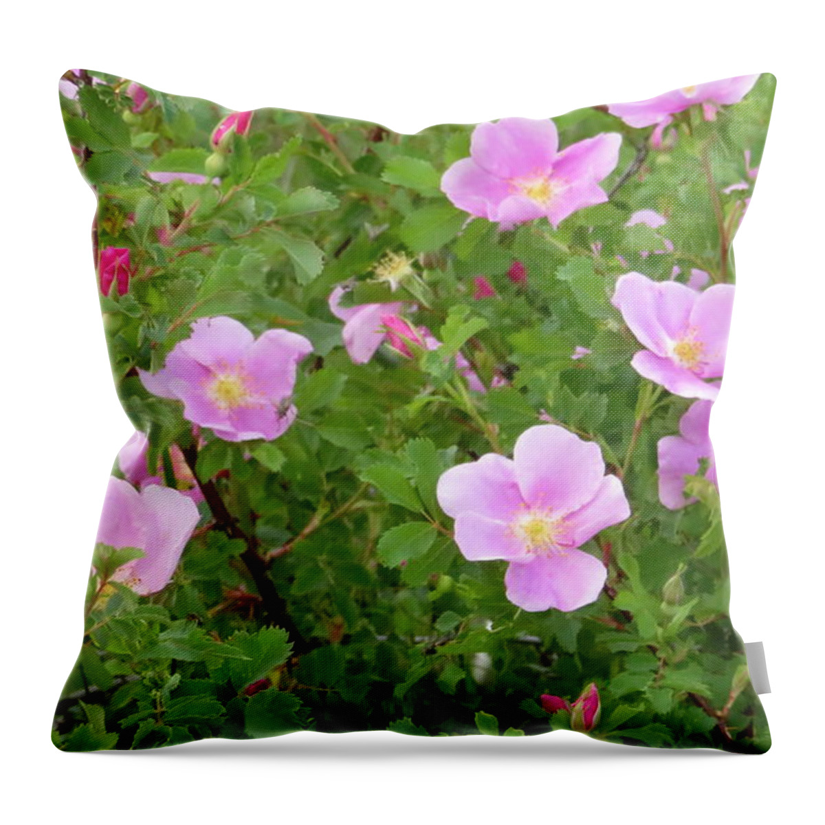 Rose Throw Pillow featuring the photograph Prairie Roses by Katie Keenan
