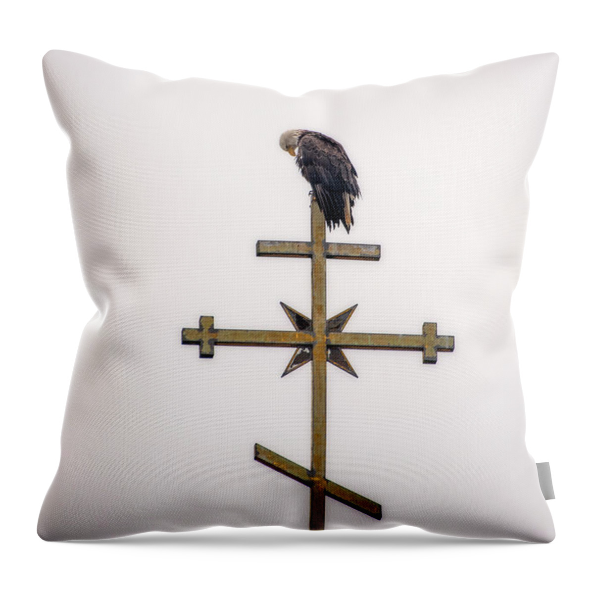 Praying Throw Pillow featuring the photograph Praying Eagle by Robert J Wagner