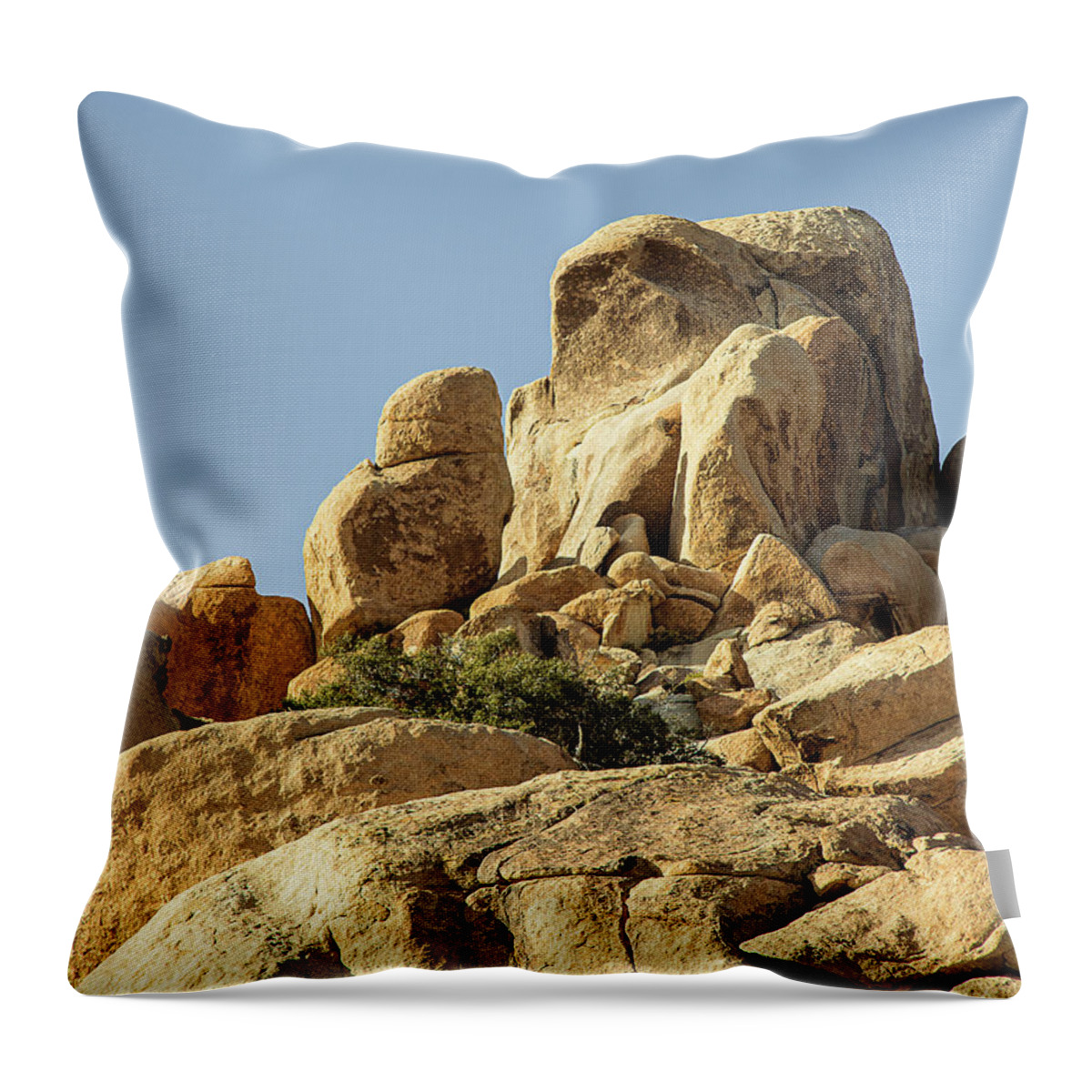 Landscapes Throw Pillow featuring the photograph Praying Monk by Claude Dalley