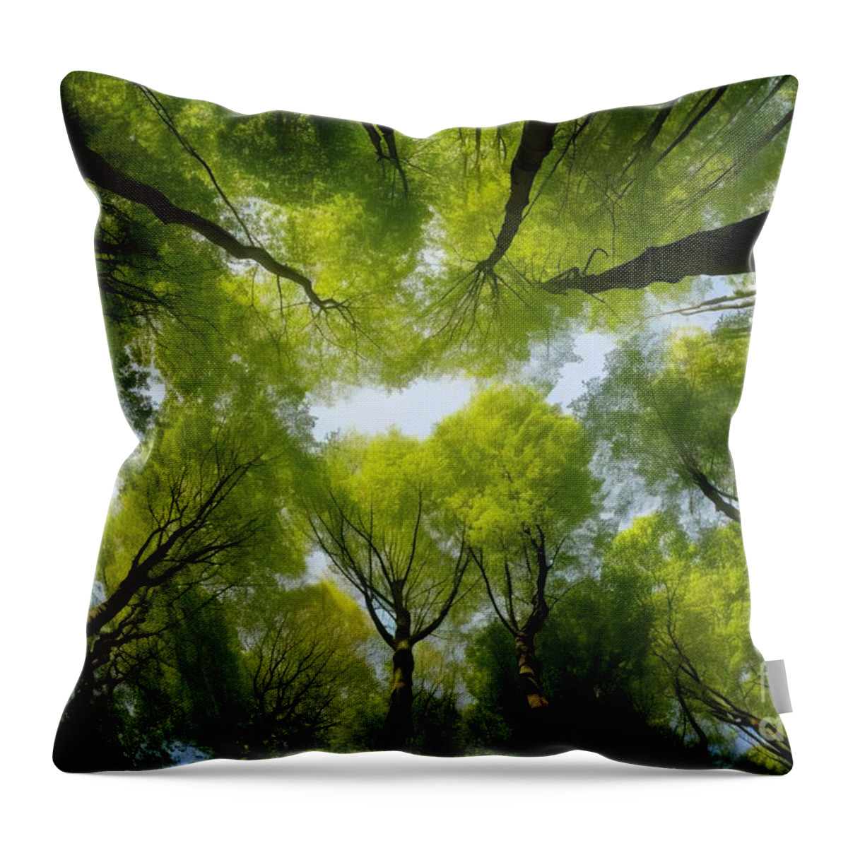Wood Throw Pillow featuring the painting premium Looking up at the green tops of trees. Italy by N Akkash