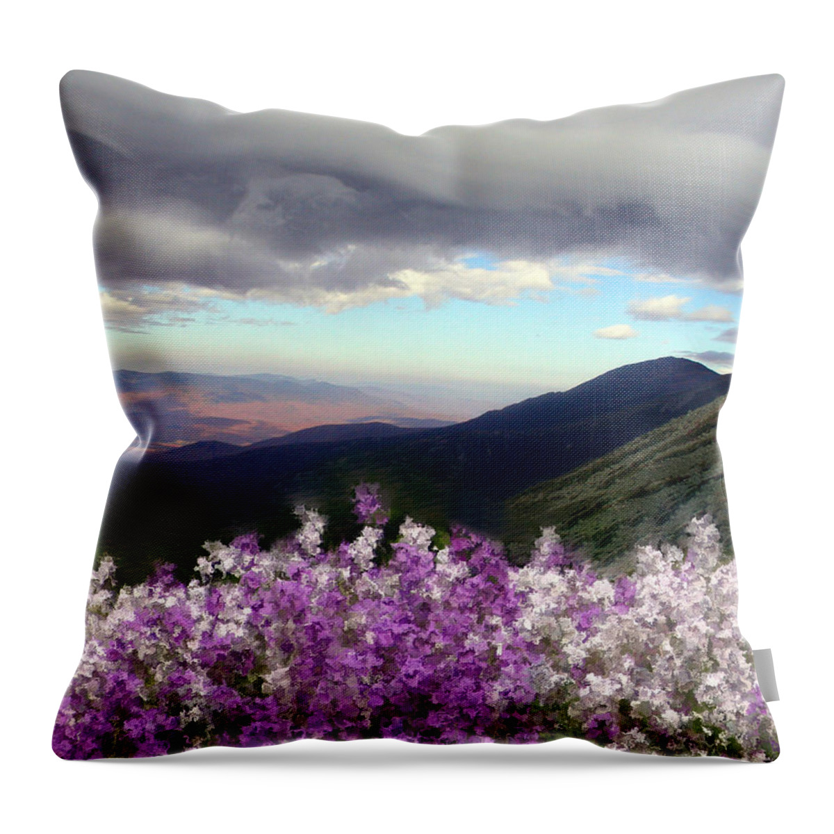 Phlox Throw Pillow featuring the photograph Presidential Phlox Storm by Wayne King