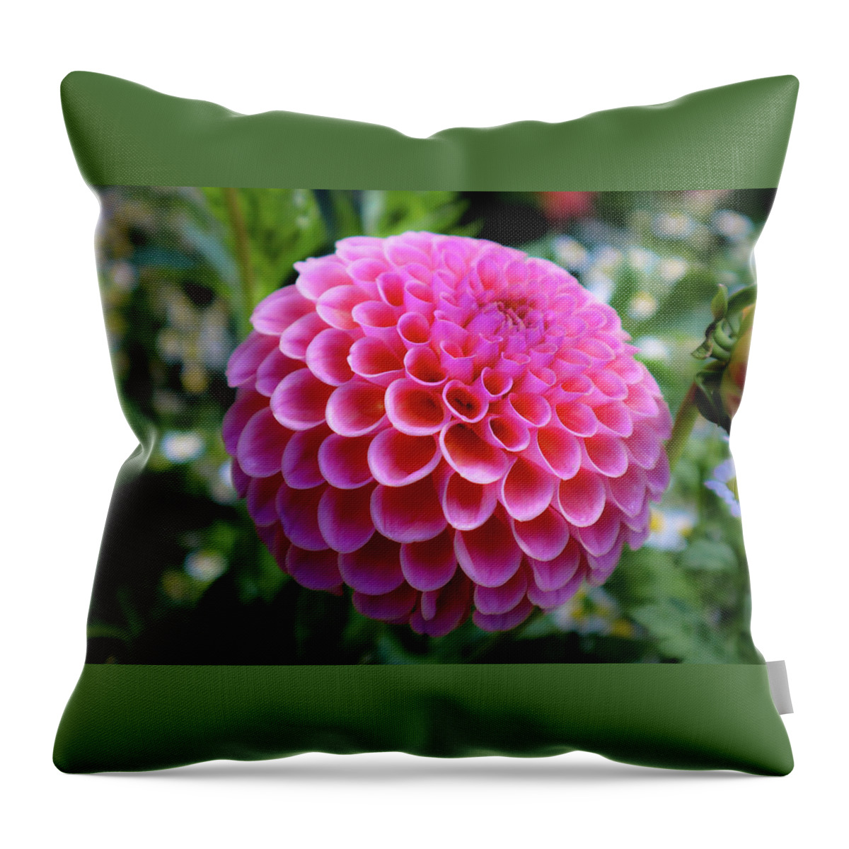Pink Throw Pillow featuring the photograph Pretty in Pink by Andrea Whitaker