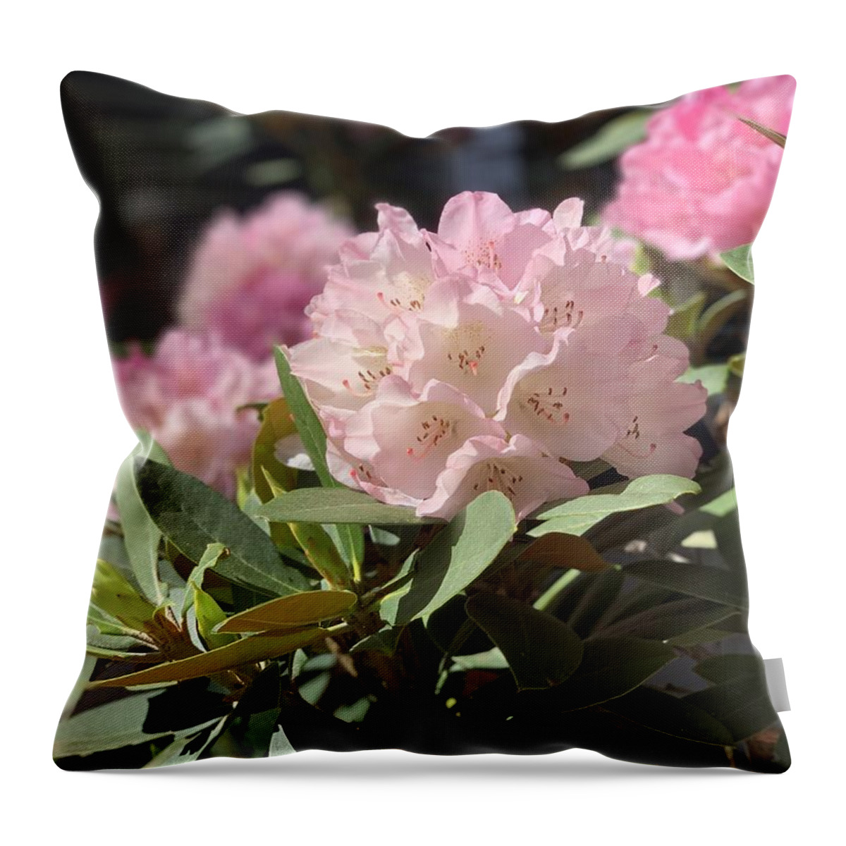 Rhododendron Throw Pillow featuring the photograph Pretty in Pink by Juliette Becker