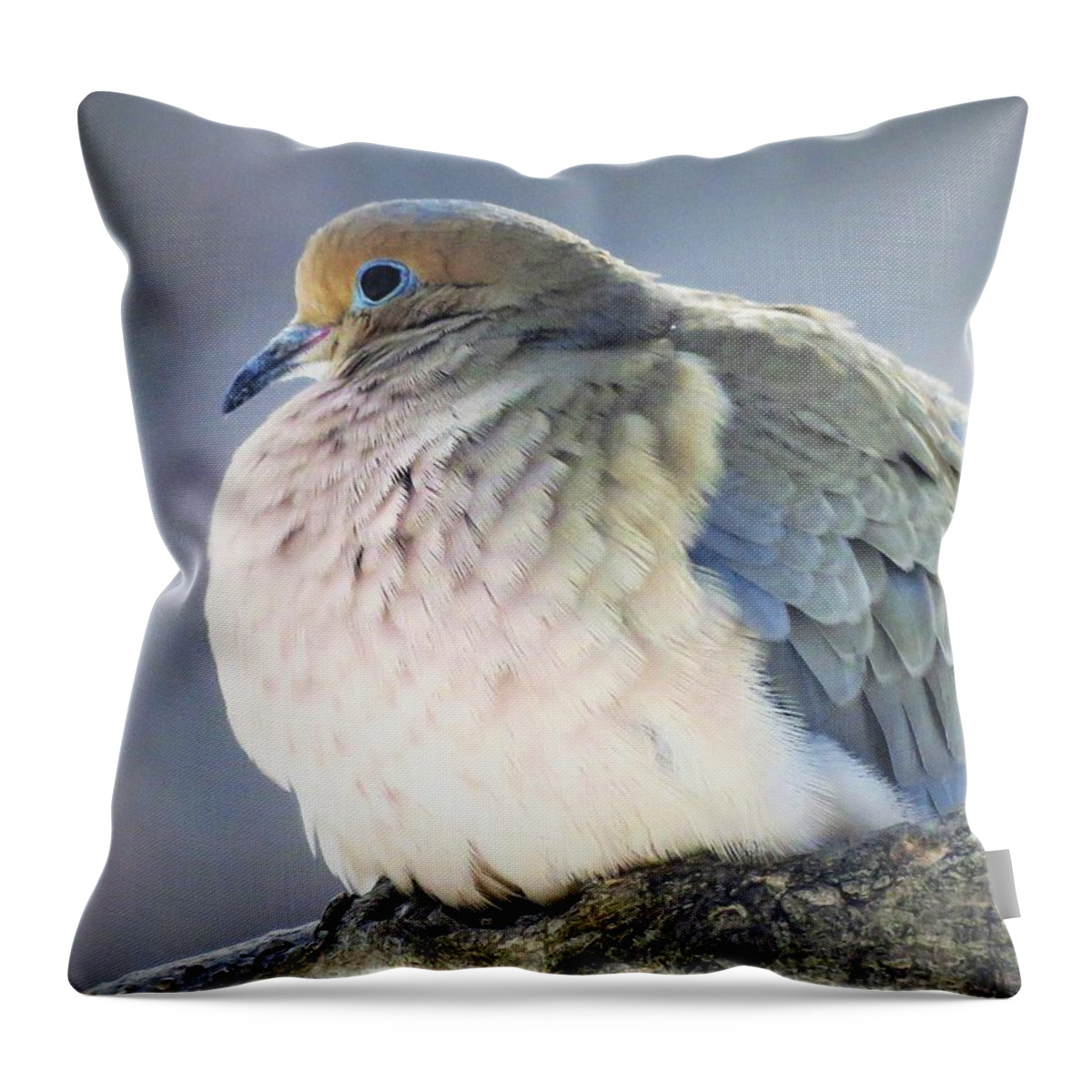Birds Throw Pillow featuring the photograph Pretty Mourning Dove by Lori Frisch