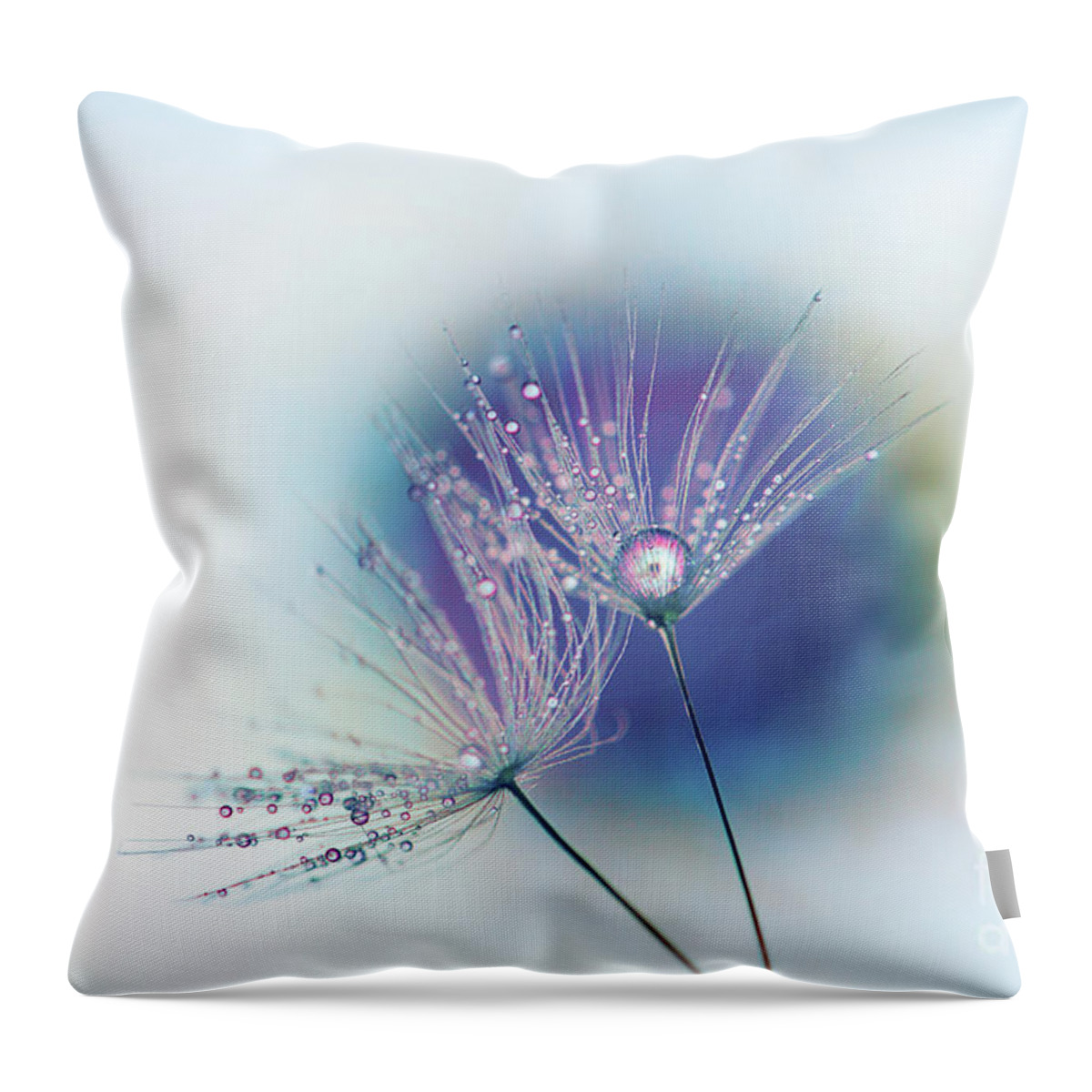 Water Throw Pillow featuring the photograph Pretty Pair by Marilyn Cornwell