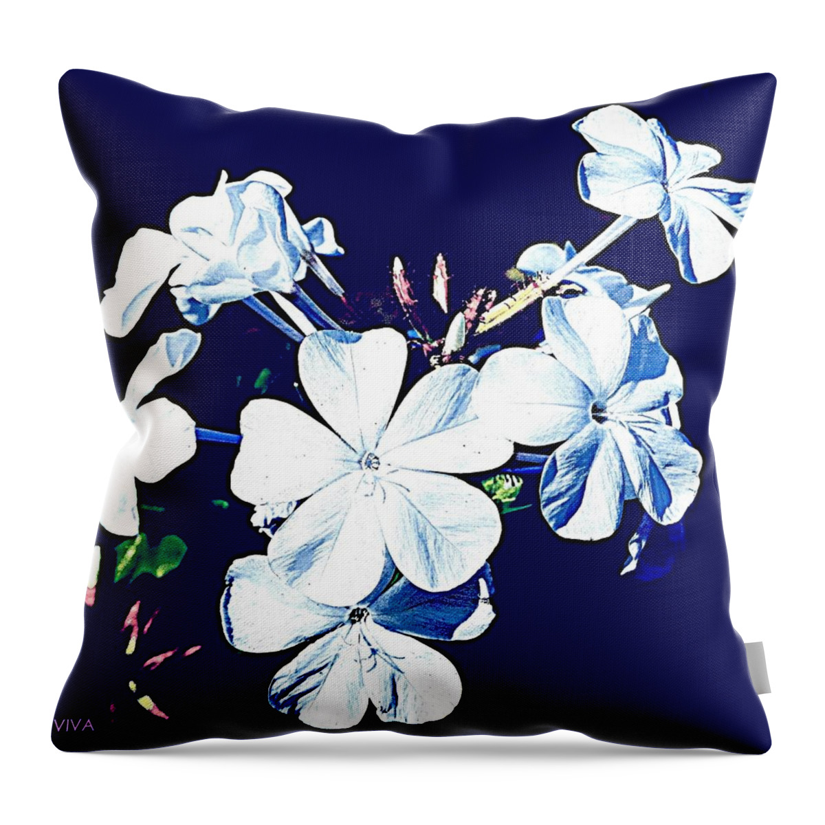 Plumbago Throw Pillow featuring the photograph Pretty White Plumbago On Blue by VIVA Anderson