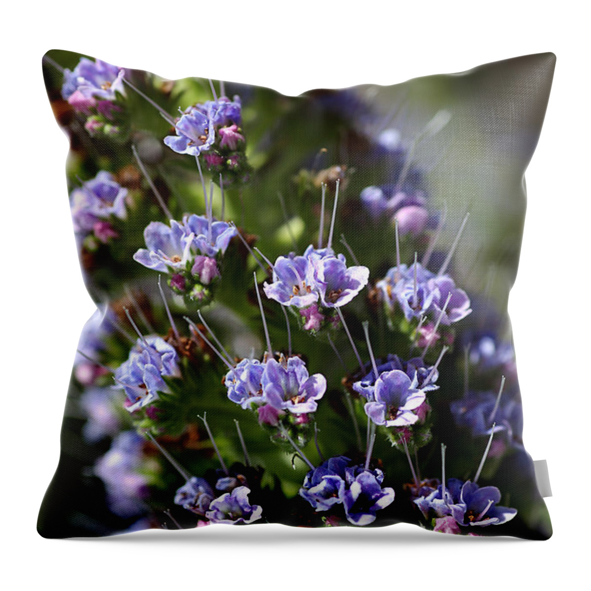 Bubbleblue Throw Pillow featuring the photograph Pride of Madeira by Joy Watson
