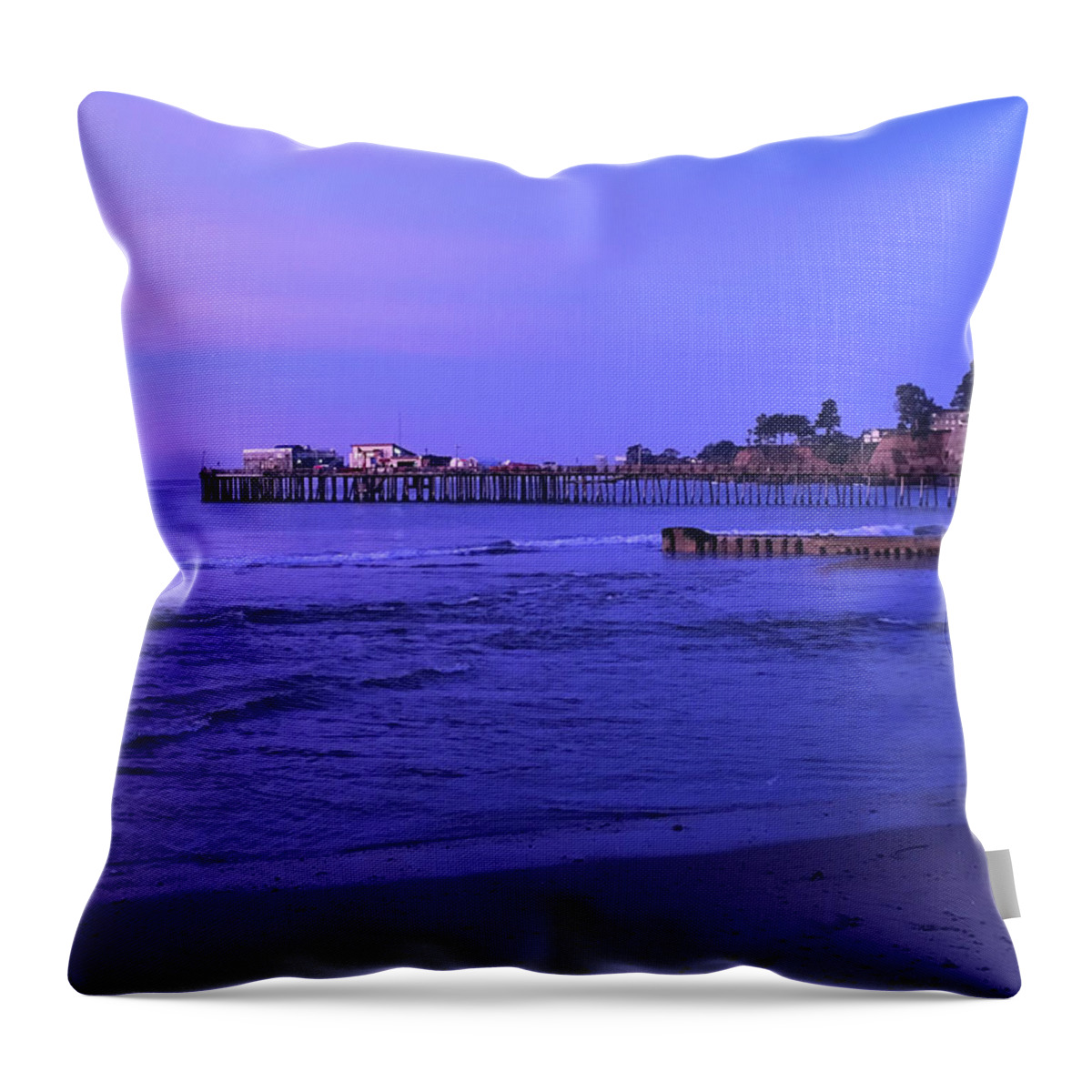 Jennifer Kane Webb Throw Pillow featuring the photograph Prince At Sea by Jennifer Kane Webb