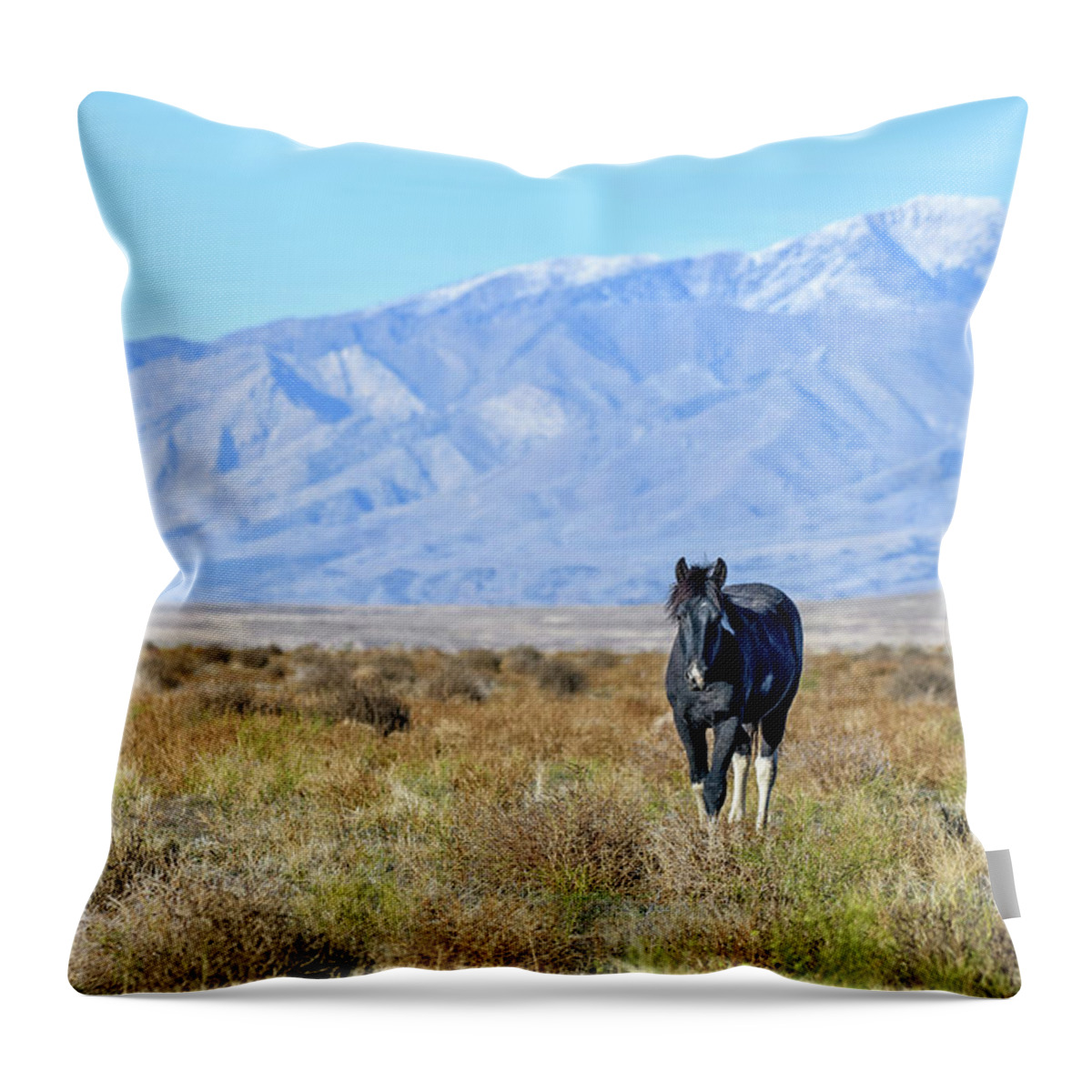 Horse Throw Pillow featuring the photograph Princess Valentina by Fon Denton