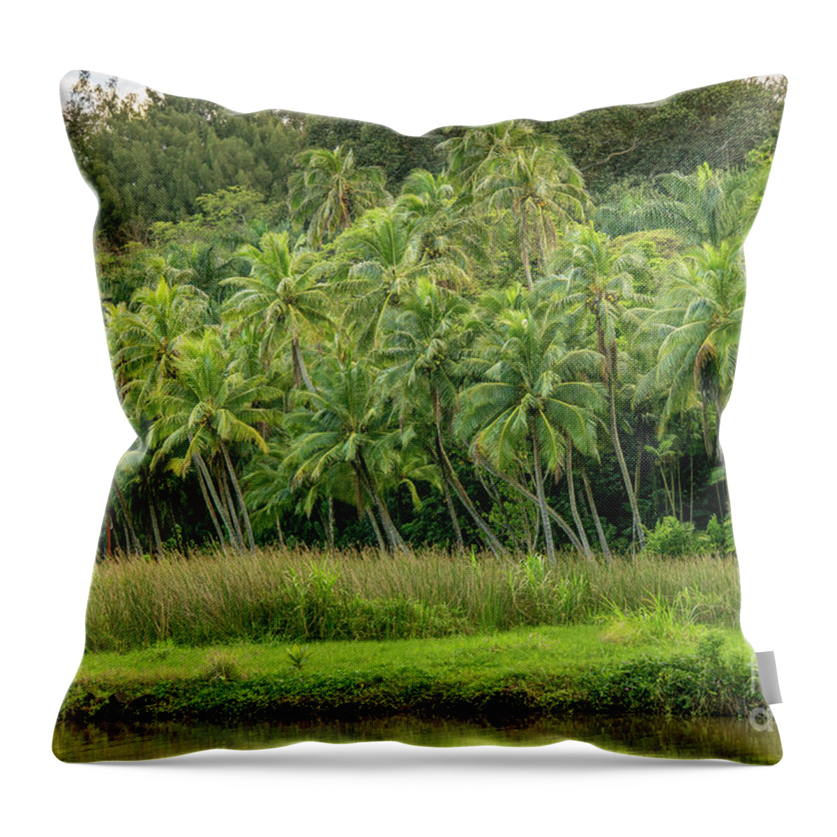 Hawaii Throw Pillow featuring the photograph Private Palm Tree Garden by Nancy Gleason