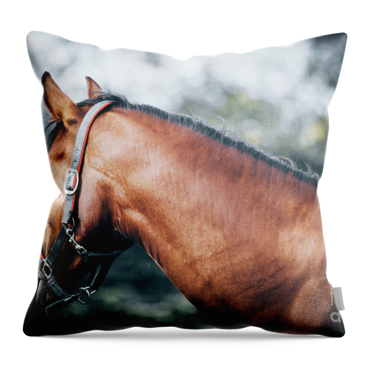 Horse Throw Pillow featuring the photograph Profile view of a brown horse II by Dimitar Hristov