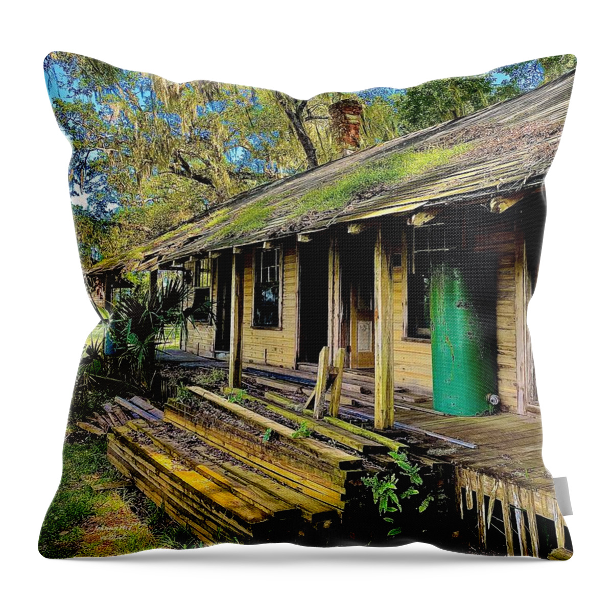 Florida Throw Pillow featuring the photograph Projects by John Anderson