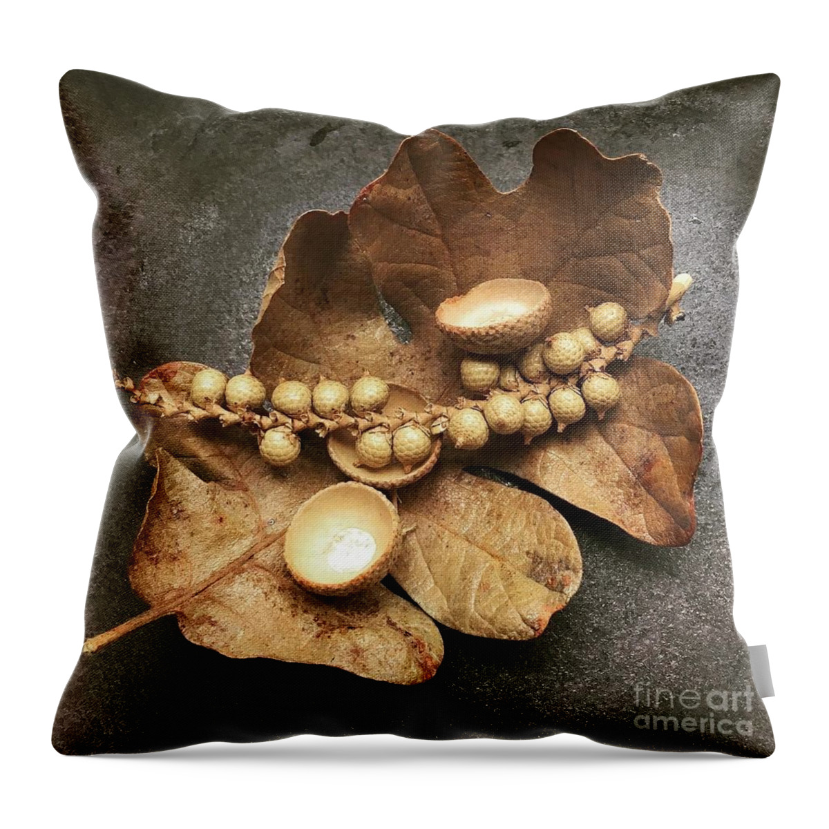 Oak Throw Pillow featuring the photograph Promise to Return by Jennifer Preston