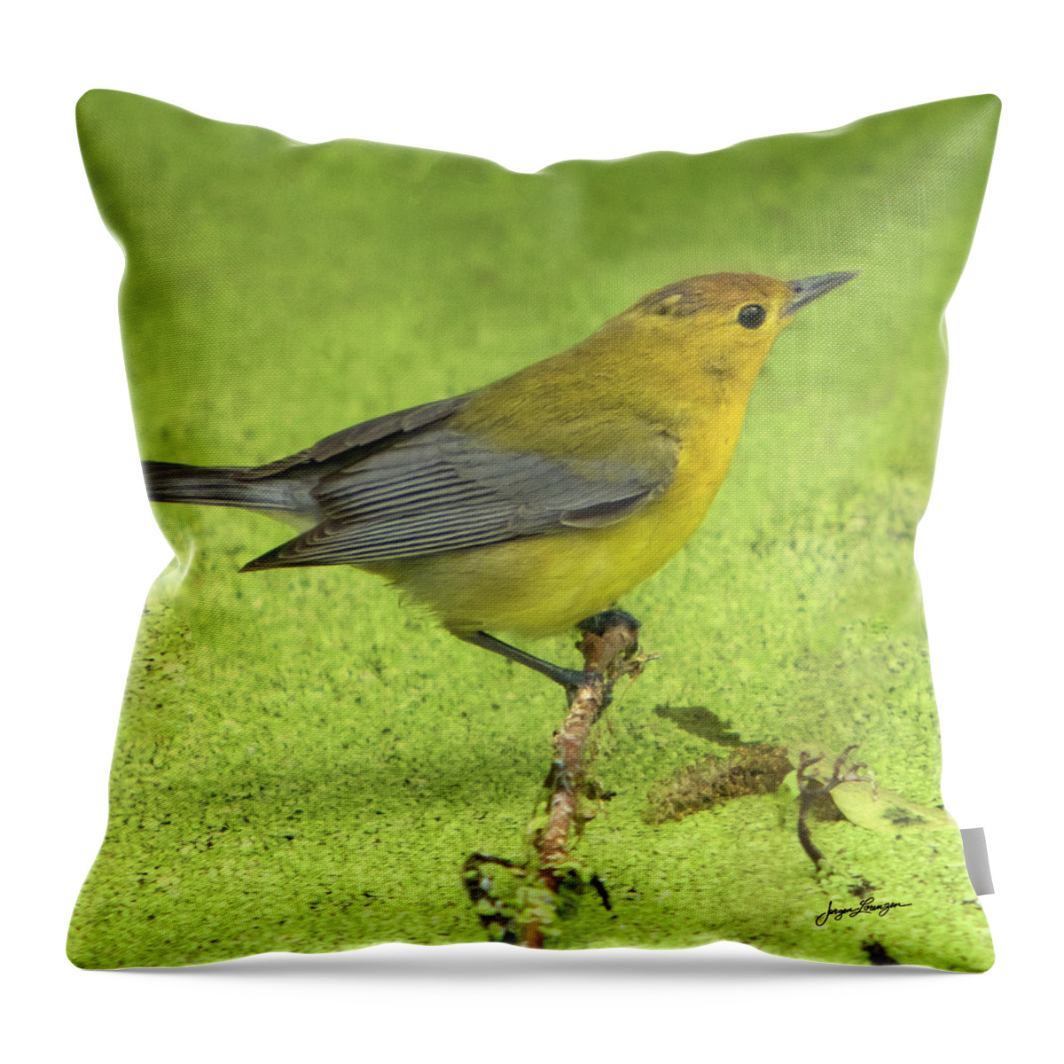 Prothonotary Warbler Throw Pillow featuring the photograph Prothonotary Warbler by Jurgen Lorenzen