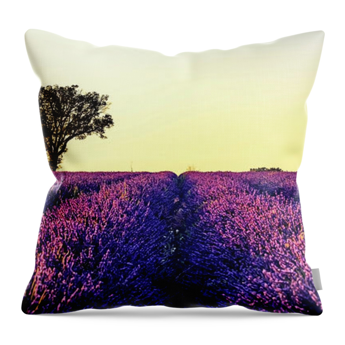 Provence Throw Pillow featuring the photograph Provence Sunset by Manjik Pictures